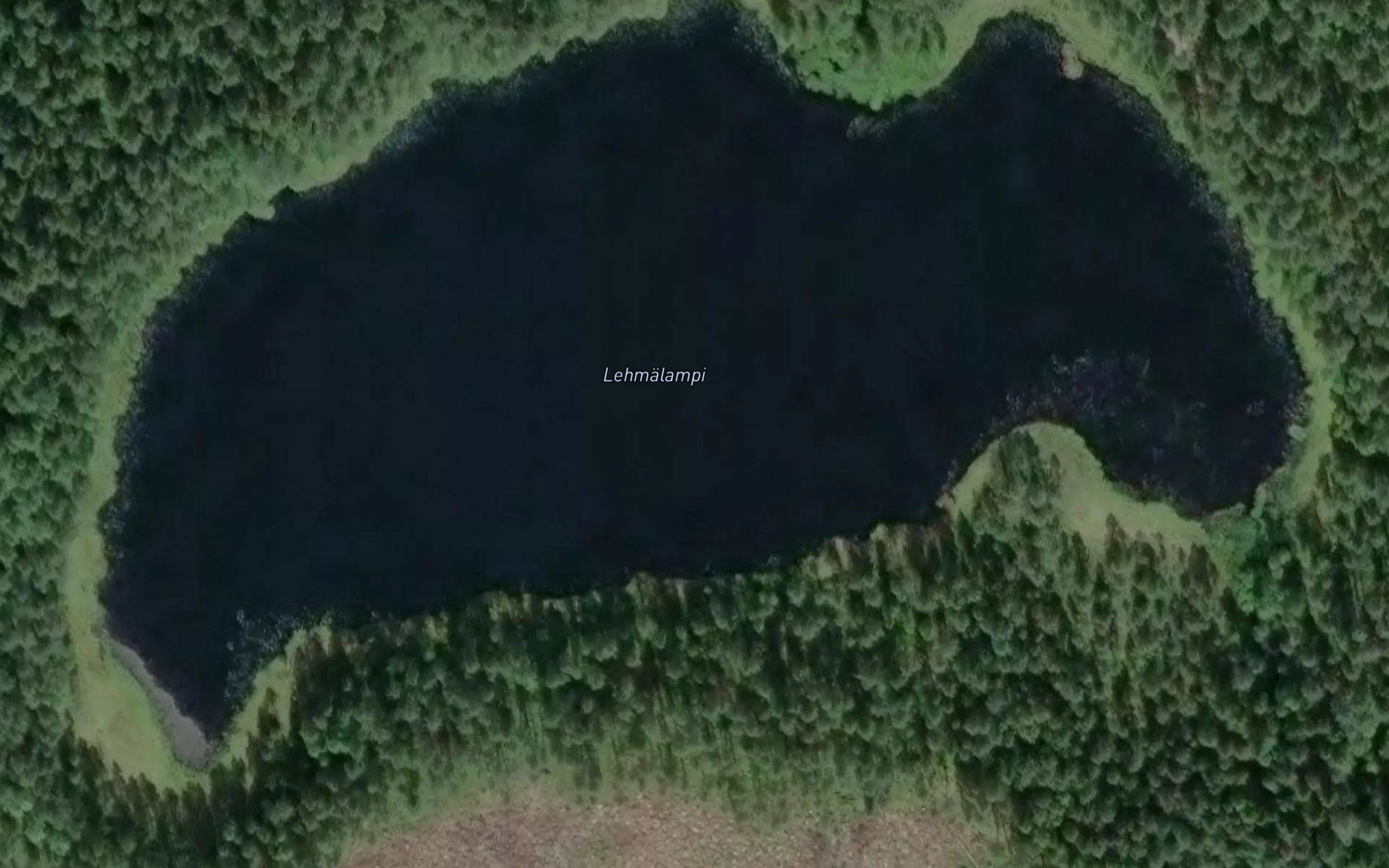 Lehmalampi
