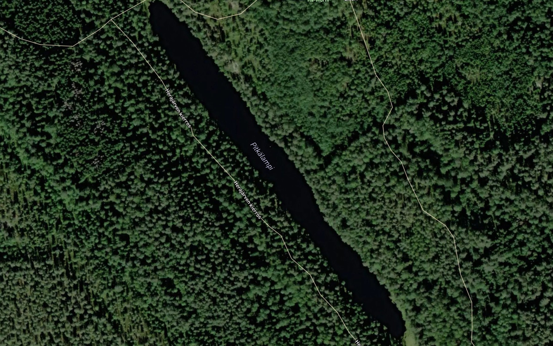Satellite map of the Pitkalampi