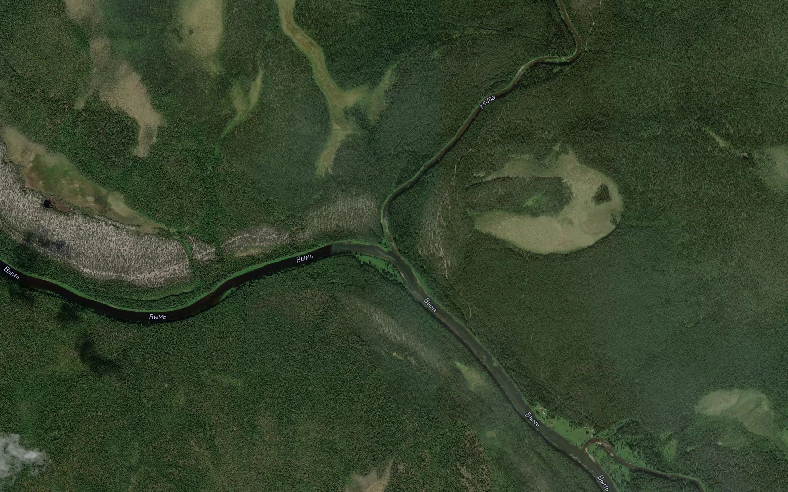 Kedva