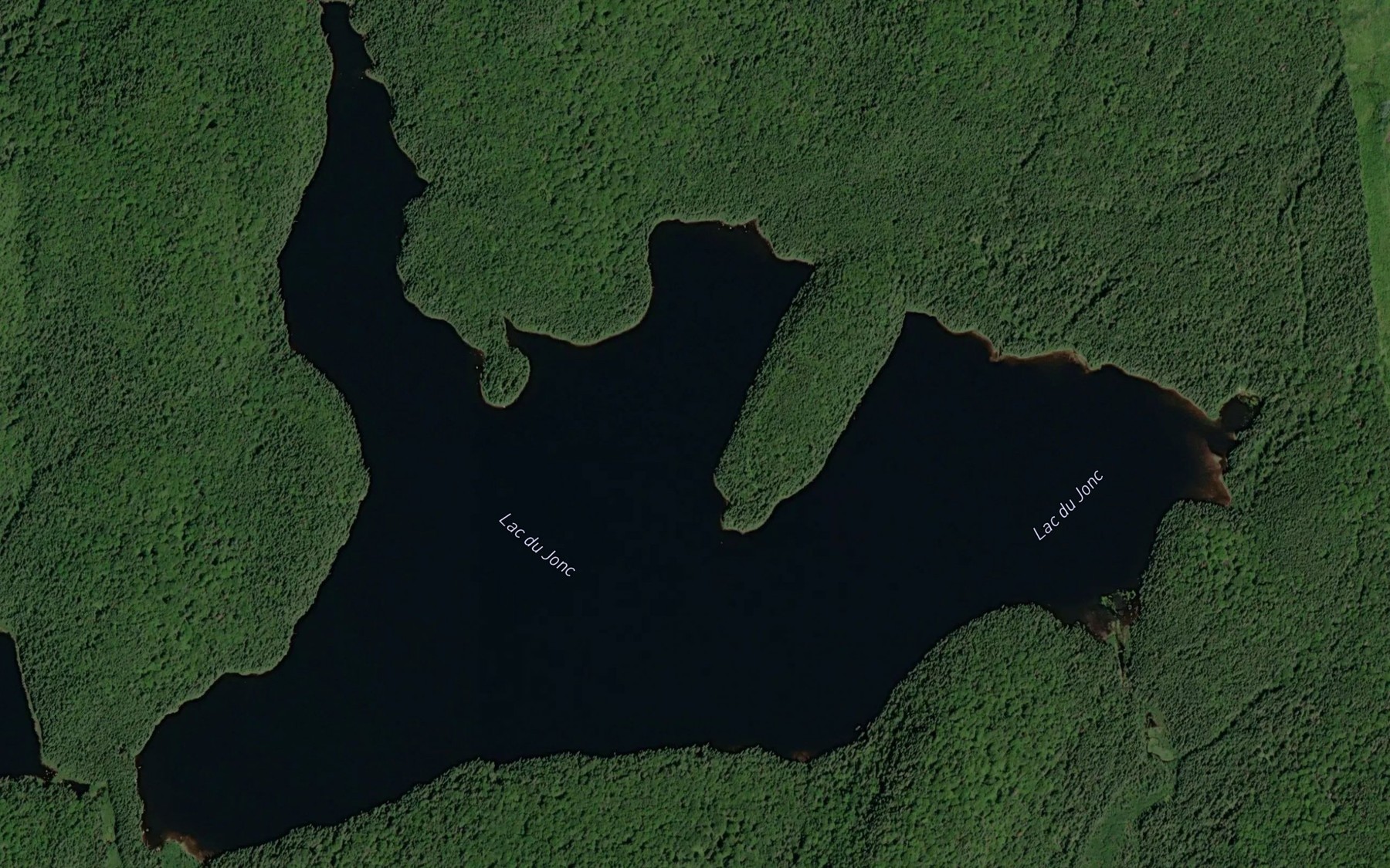 Satellite map of the Lac du Jonc