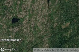 Fjellbekken