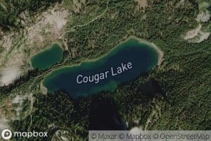 Cougar Lake