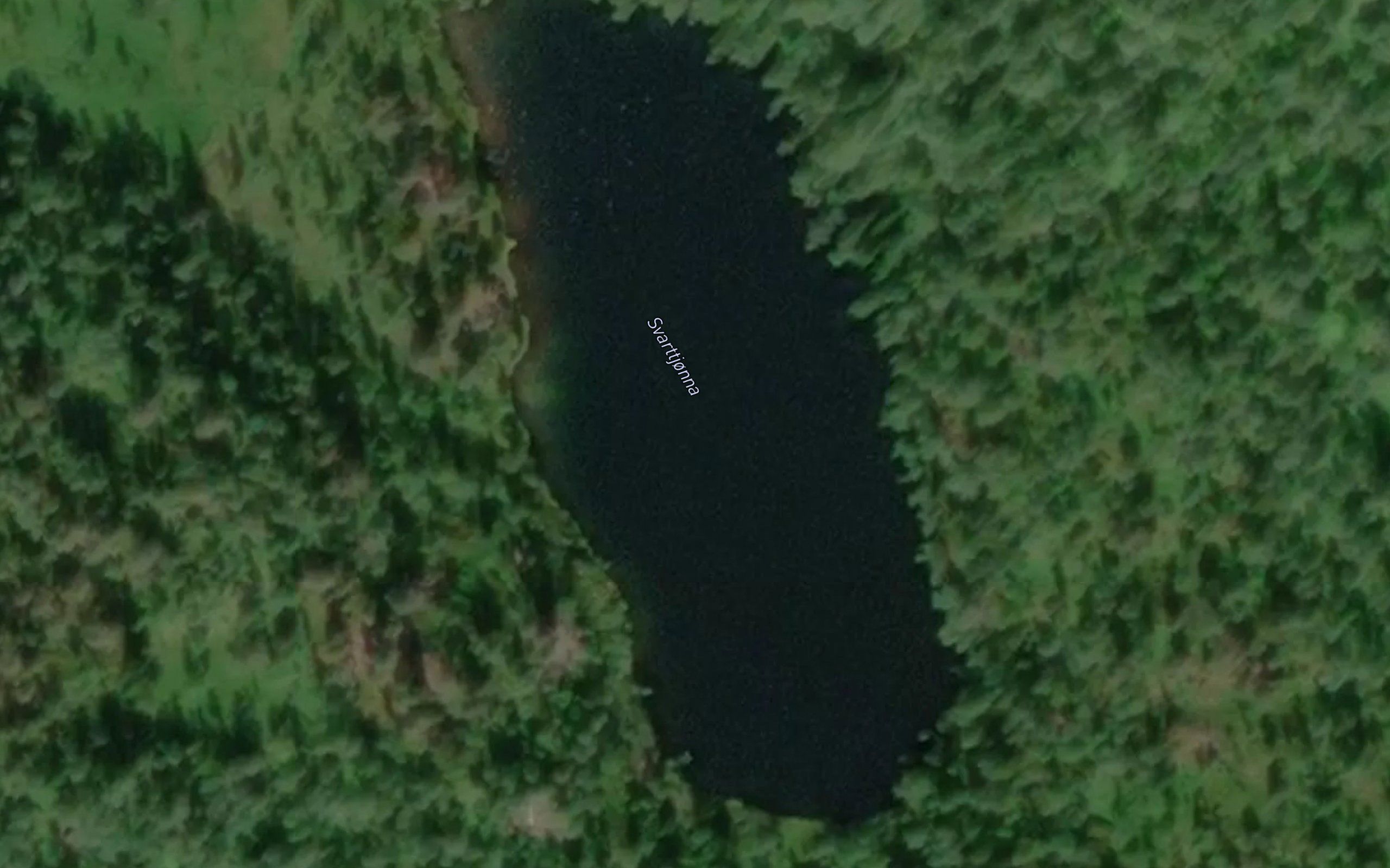 Svarttjorna