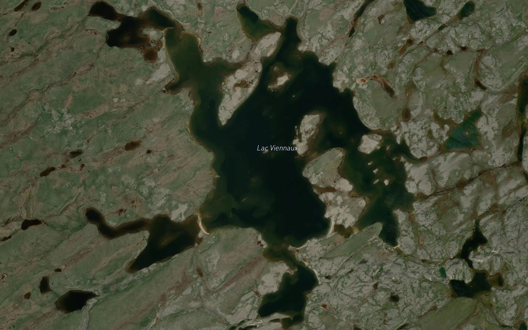 Satellite map of the Lac Viennaux