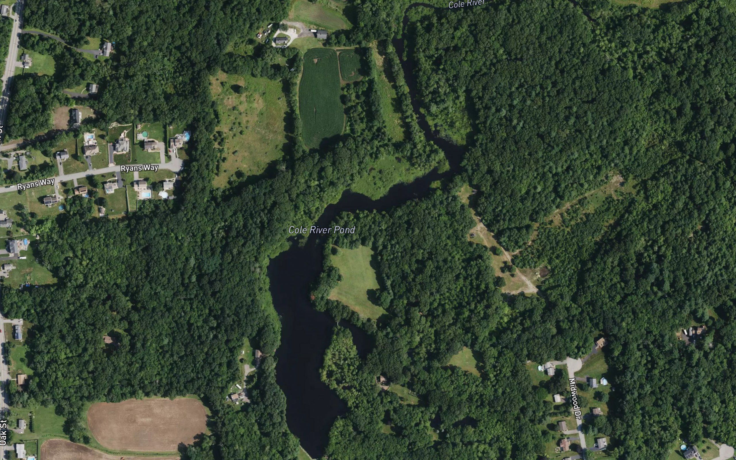 Cole River Pond