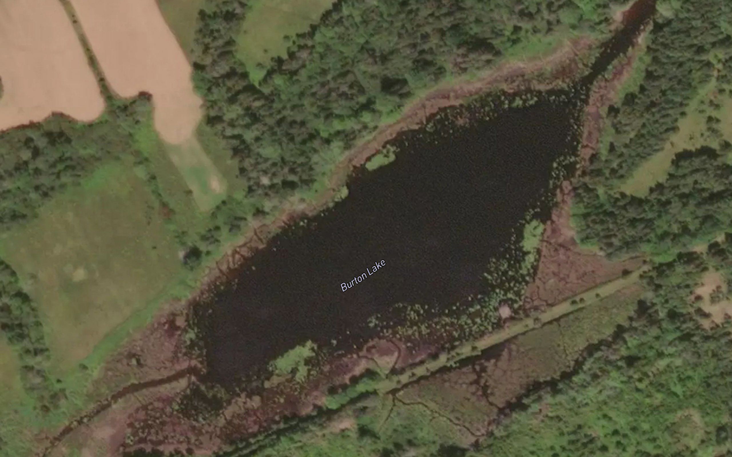 Burton Lake
