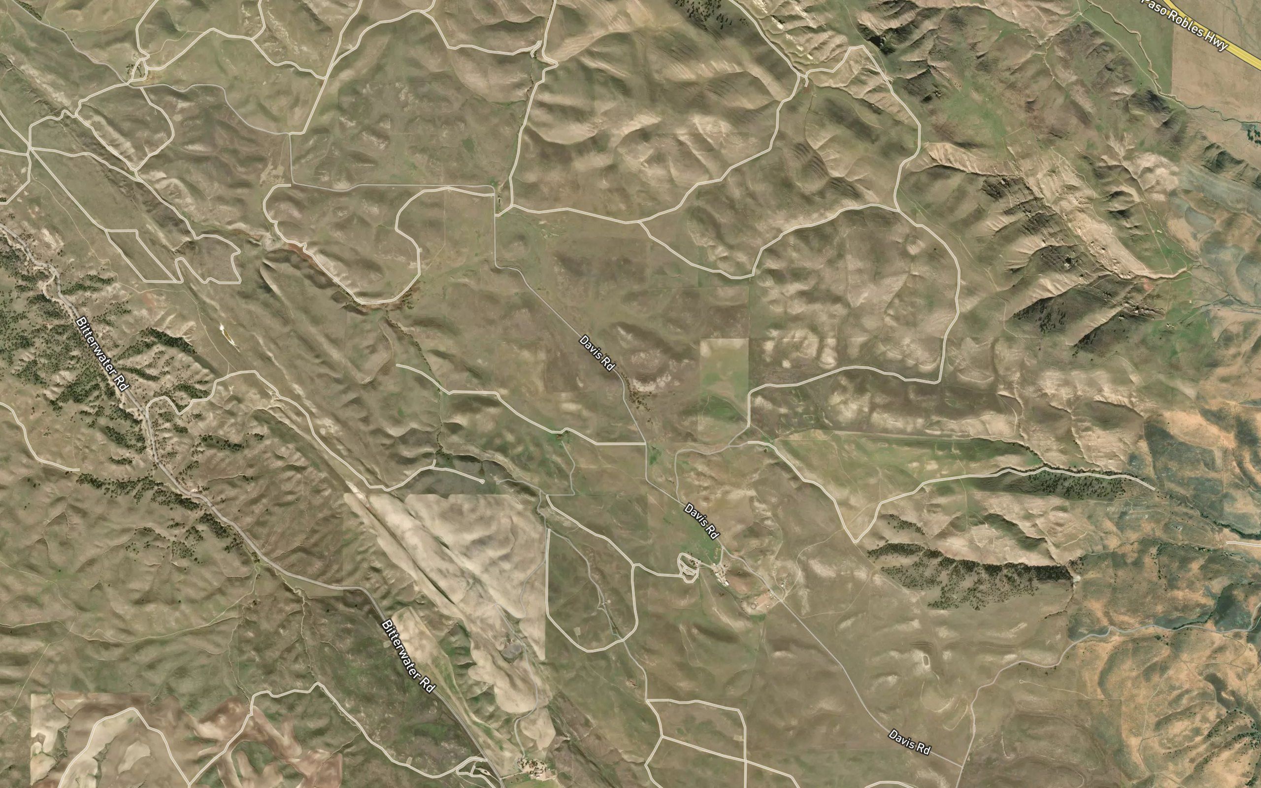 Ortega Spring