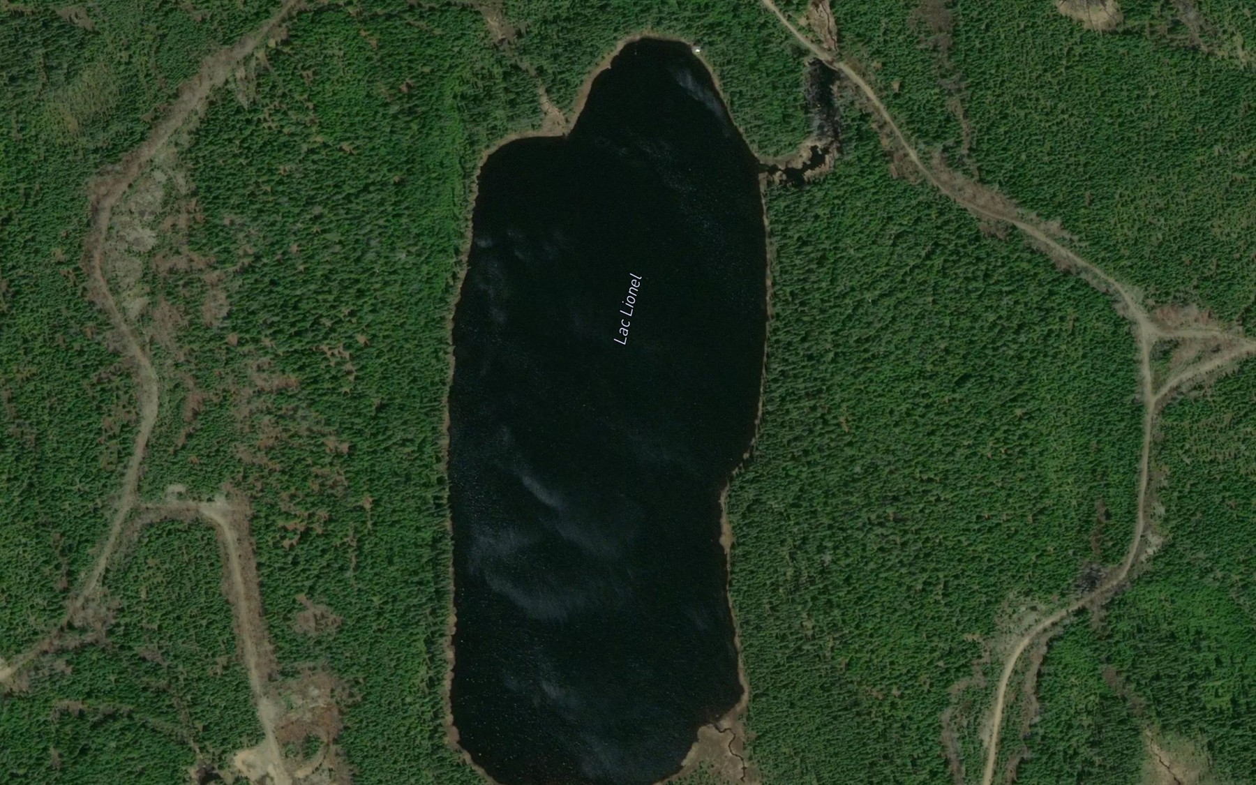Satellite map of the Lac Lionel