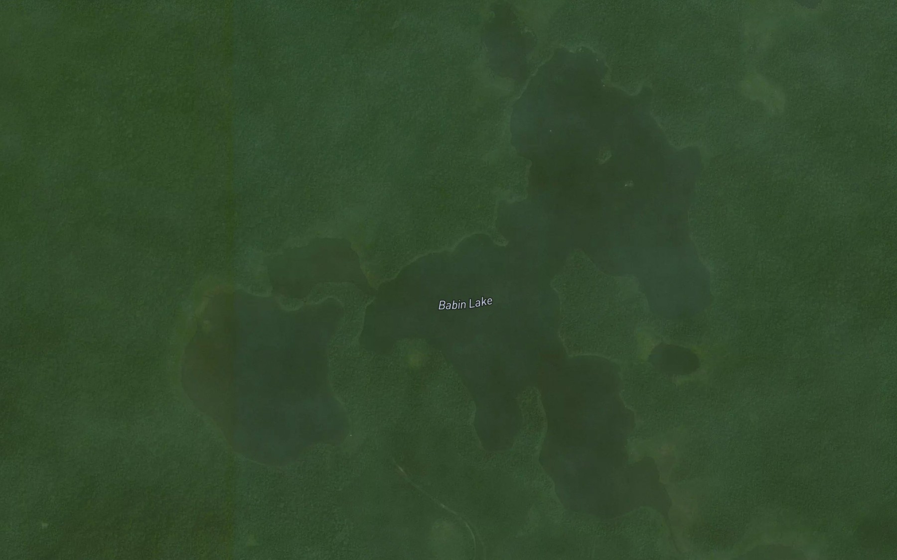 Satellite map of the Babin Lake