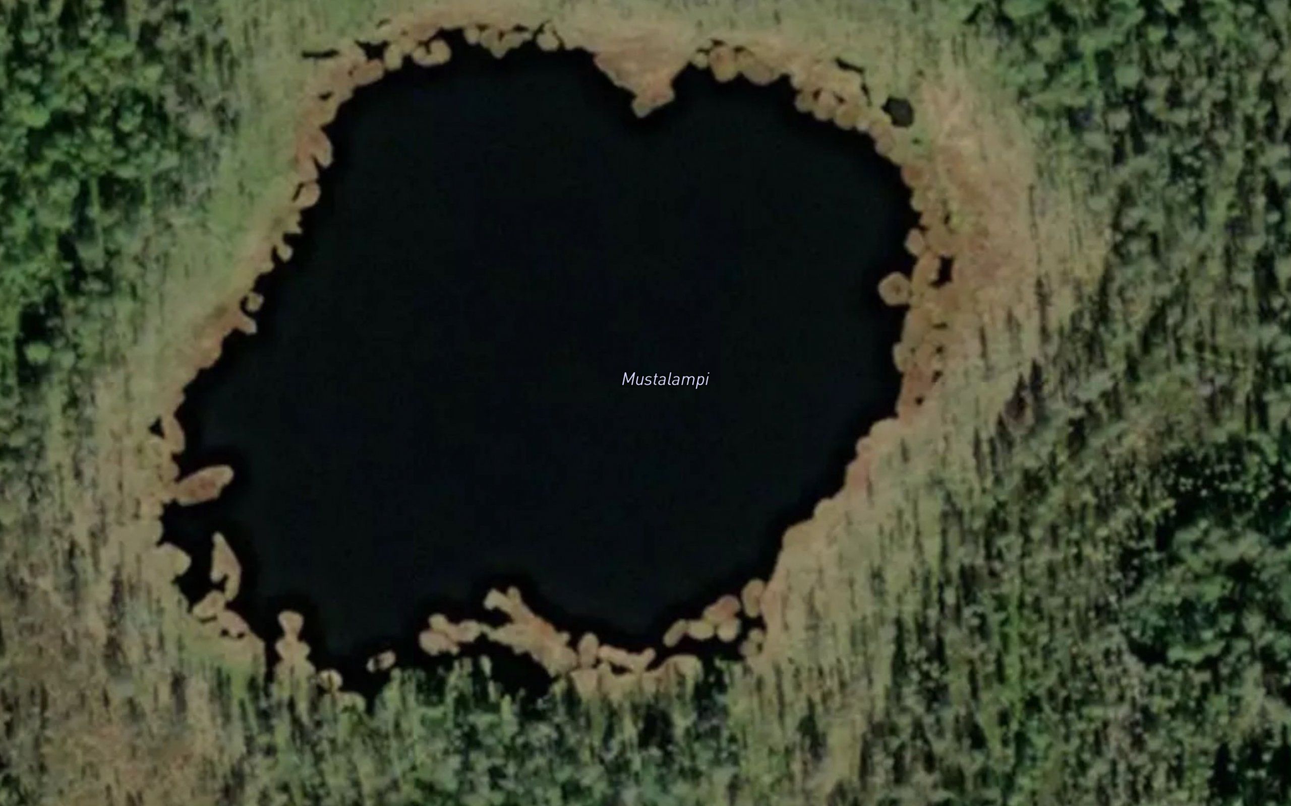 Mustalampi