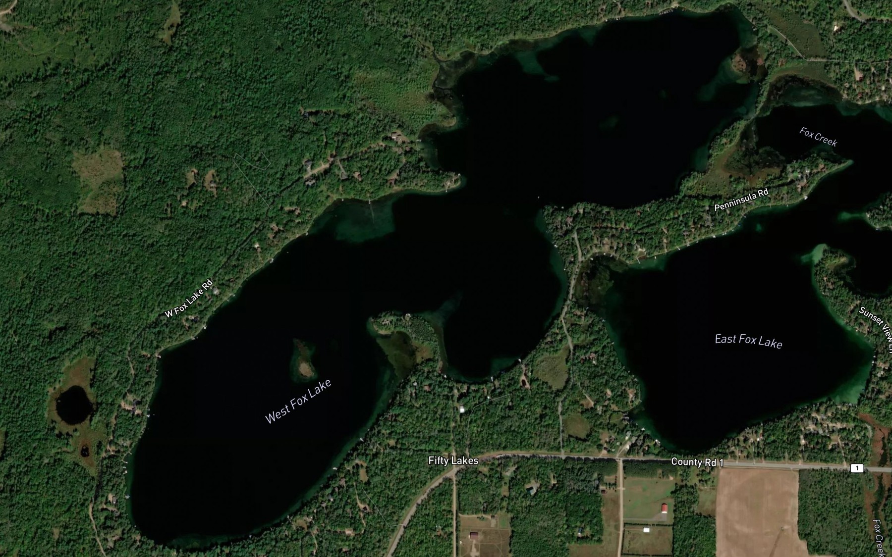 Satellite map of the West Fox Lake