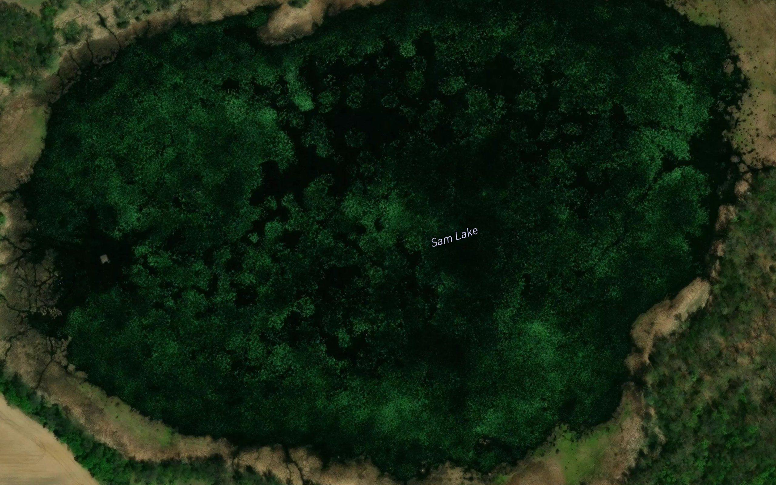 Sam Lake