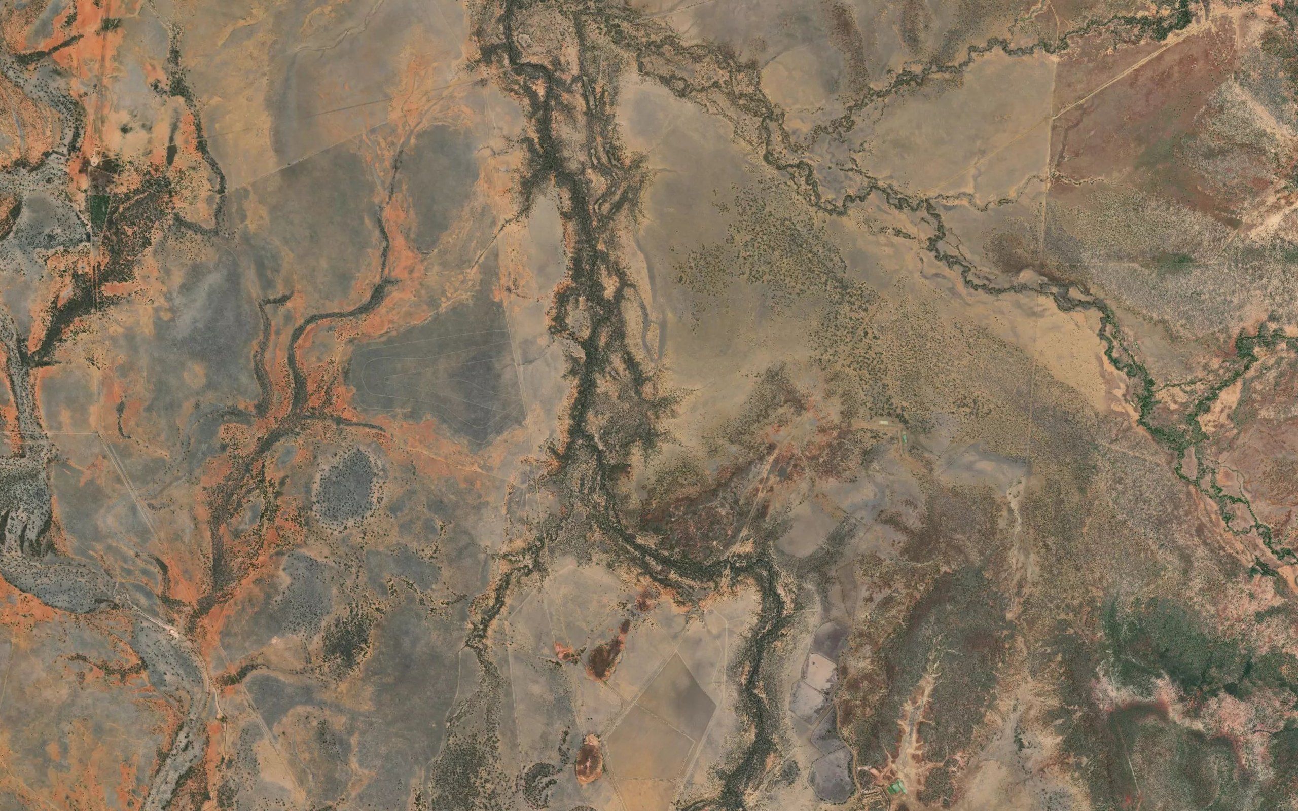 Dingo Creek