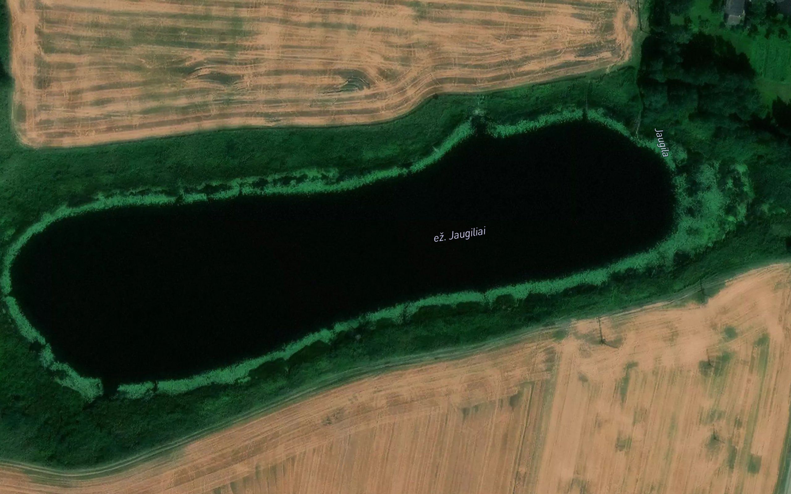 Ezeras Jaugiliai