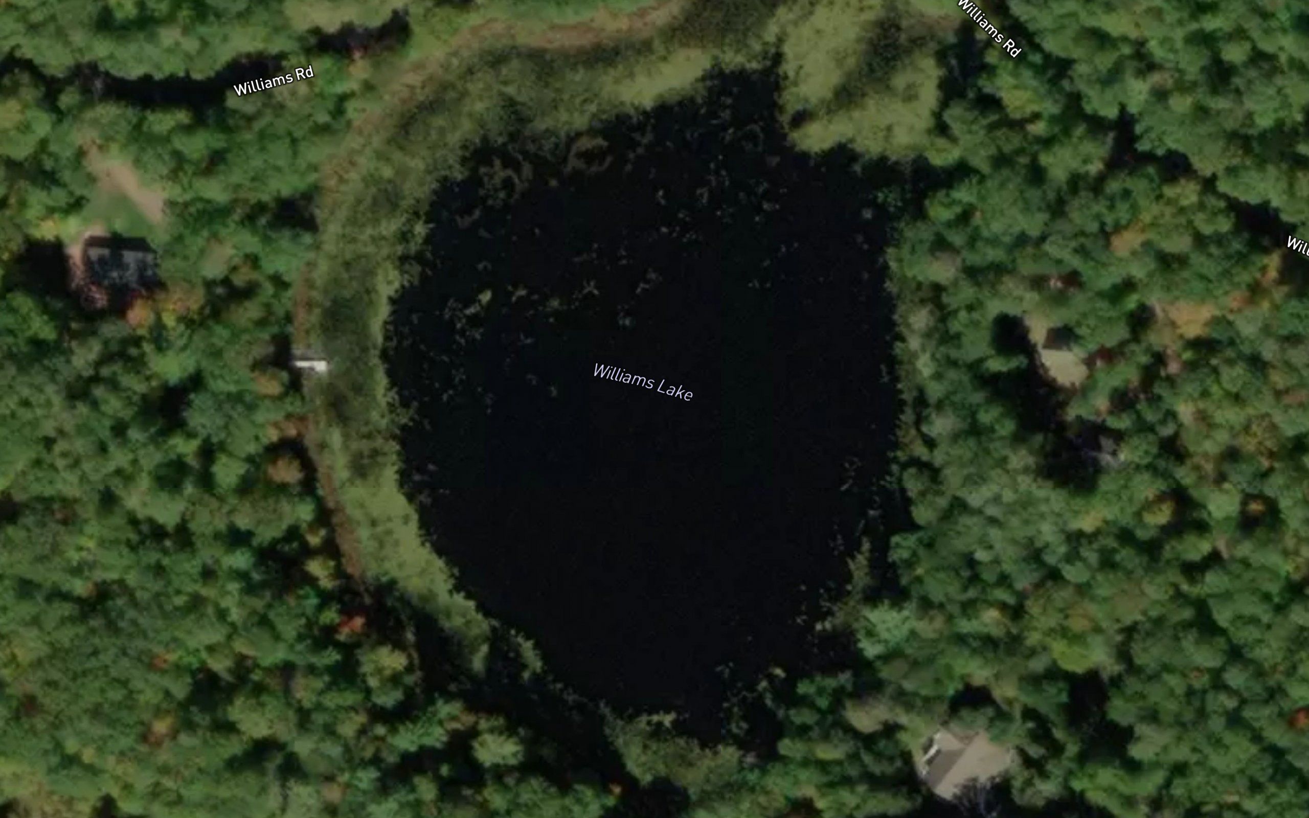 Williams Lake