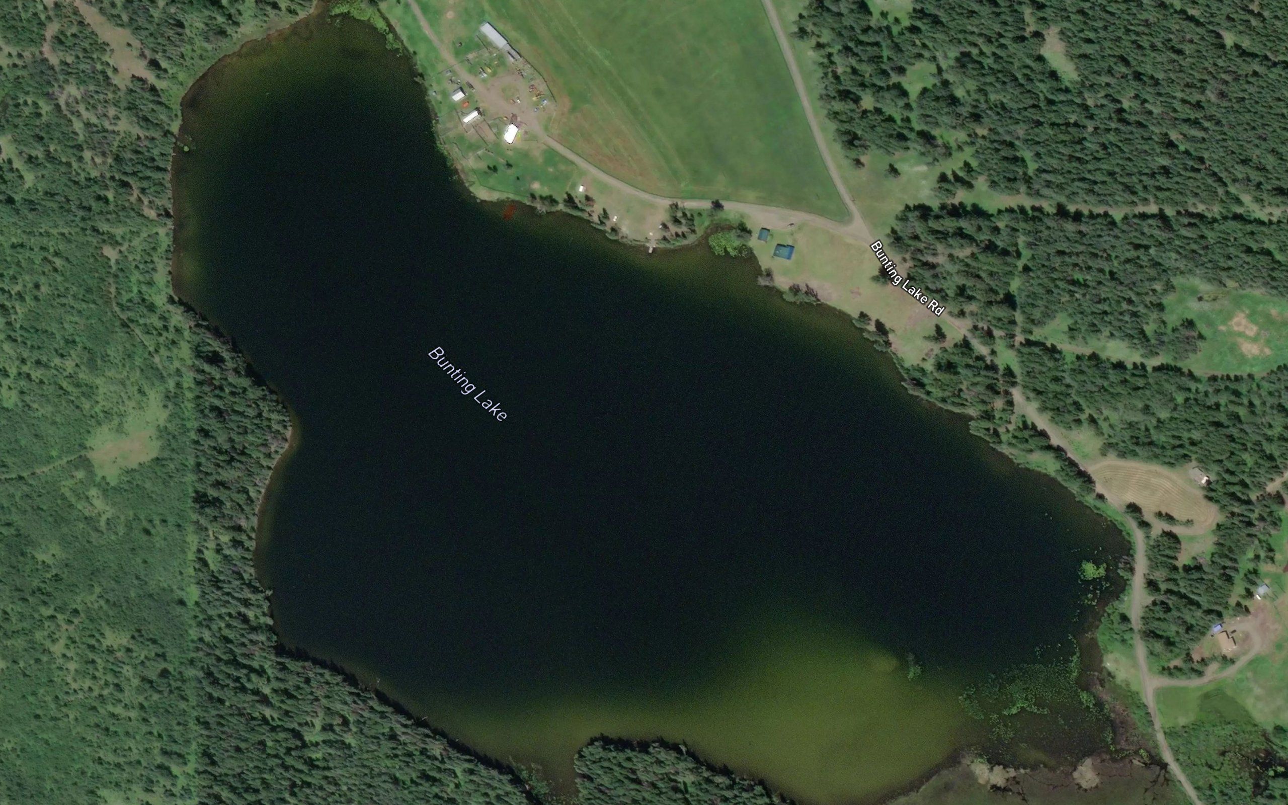 Bunting Lake