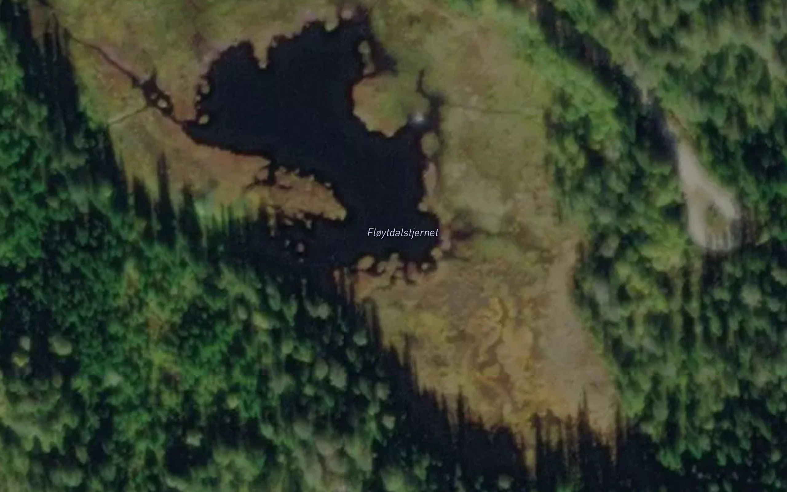 Floytdalstjernet