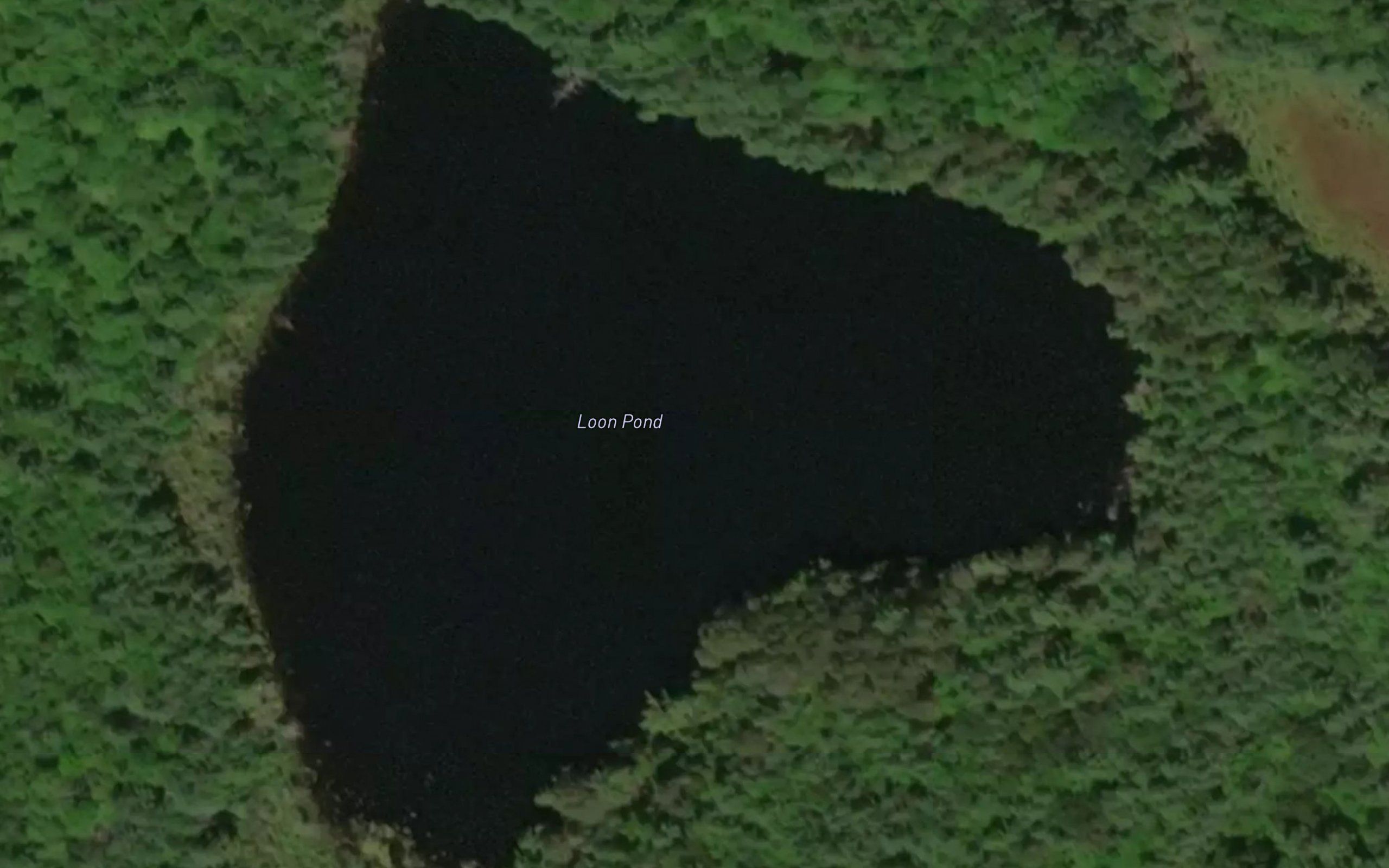 Loon Pond