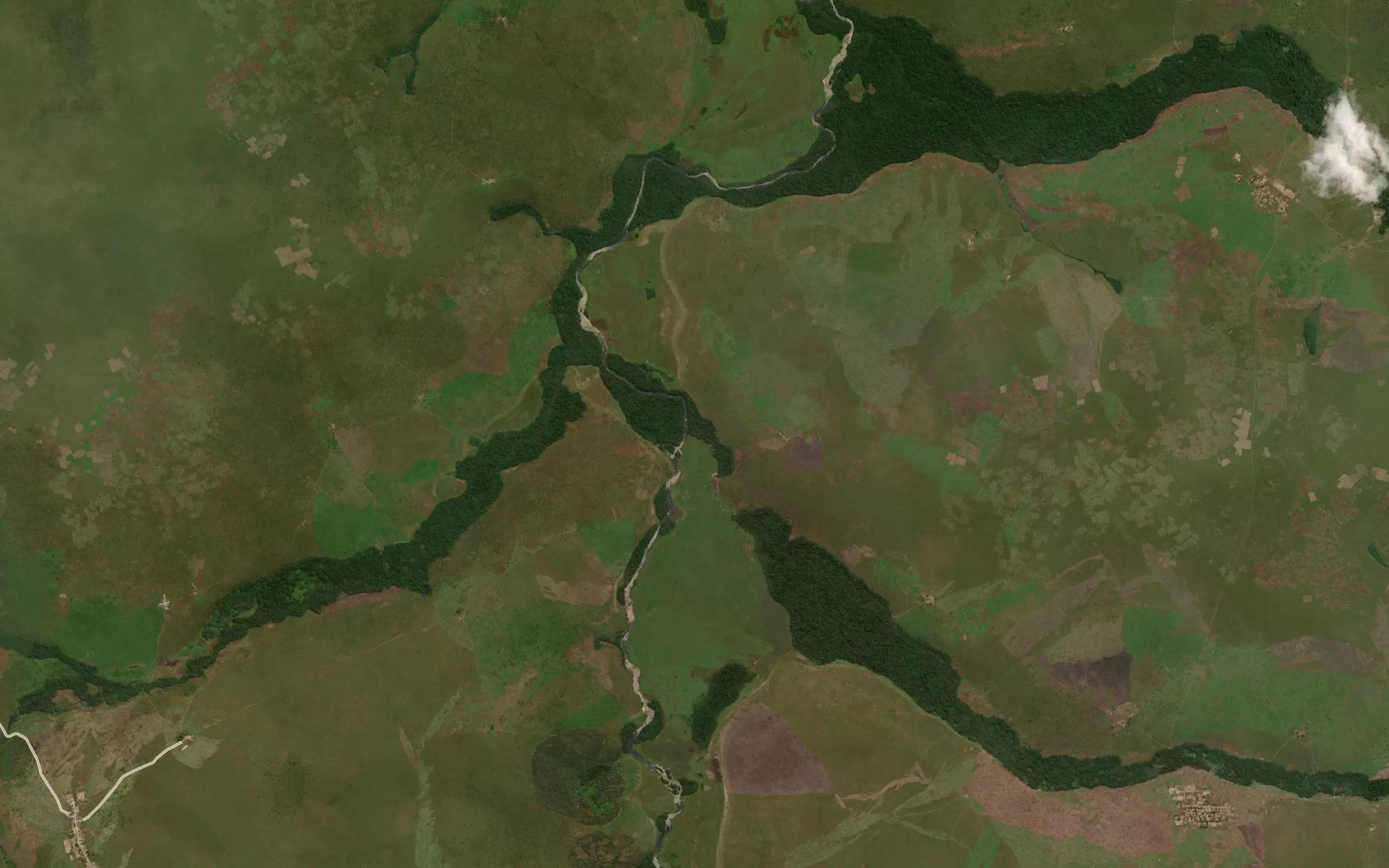Kamba