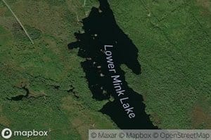 Lower Mink Lake