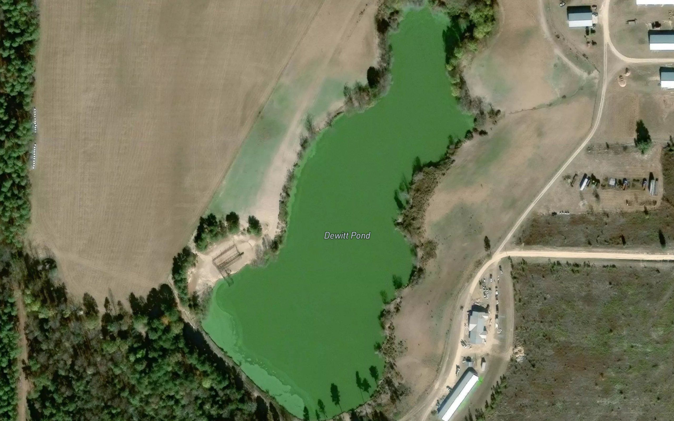 Dewitt Pond