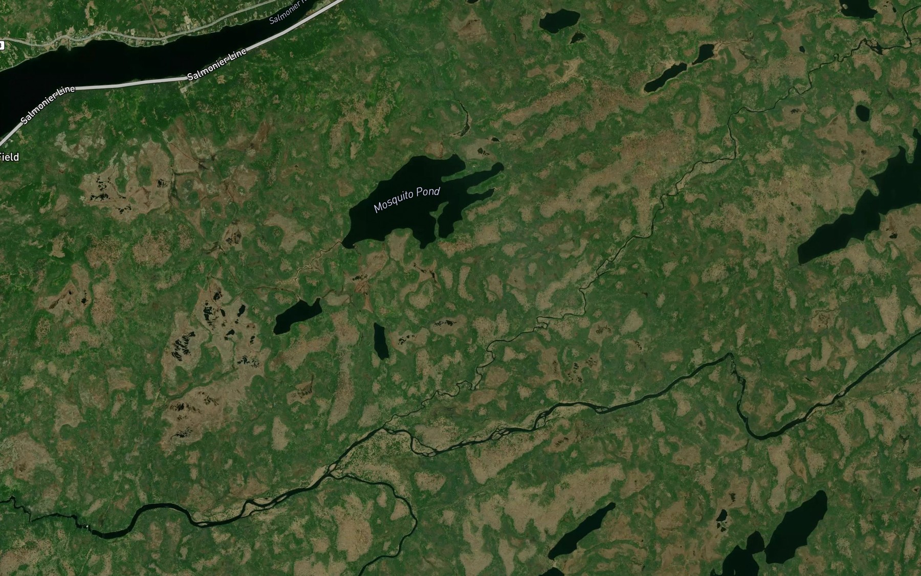 Satellite map of the Mosquito Pond