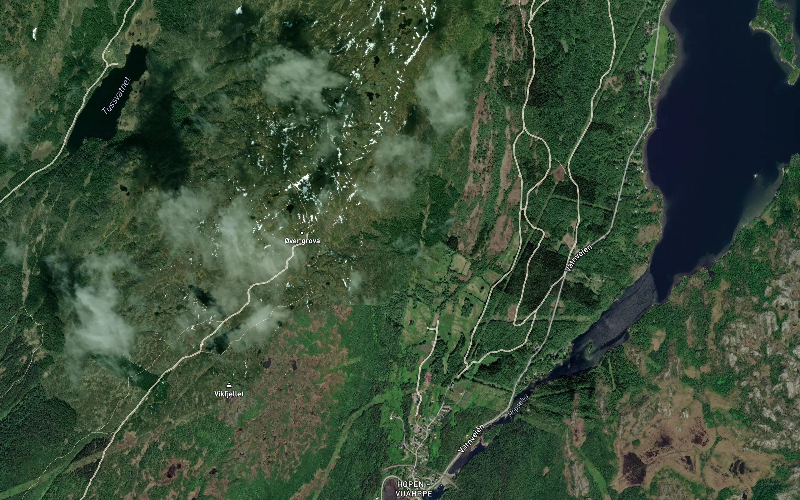 Fjellvegelva