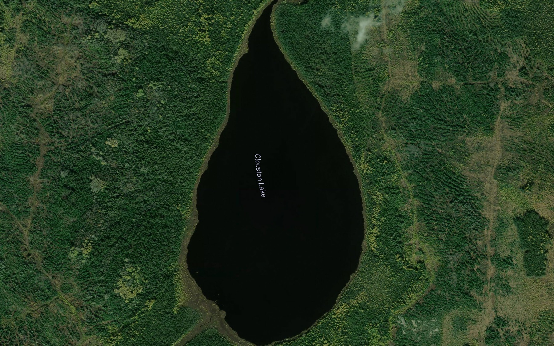 Satellite map of the Clouston Lake