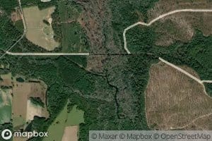Thick Creek