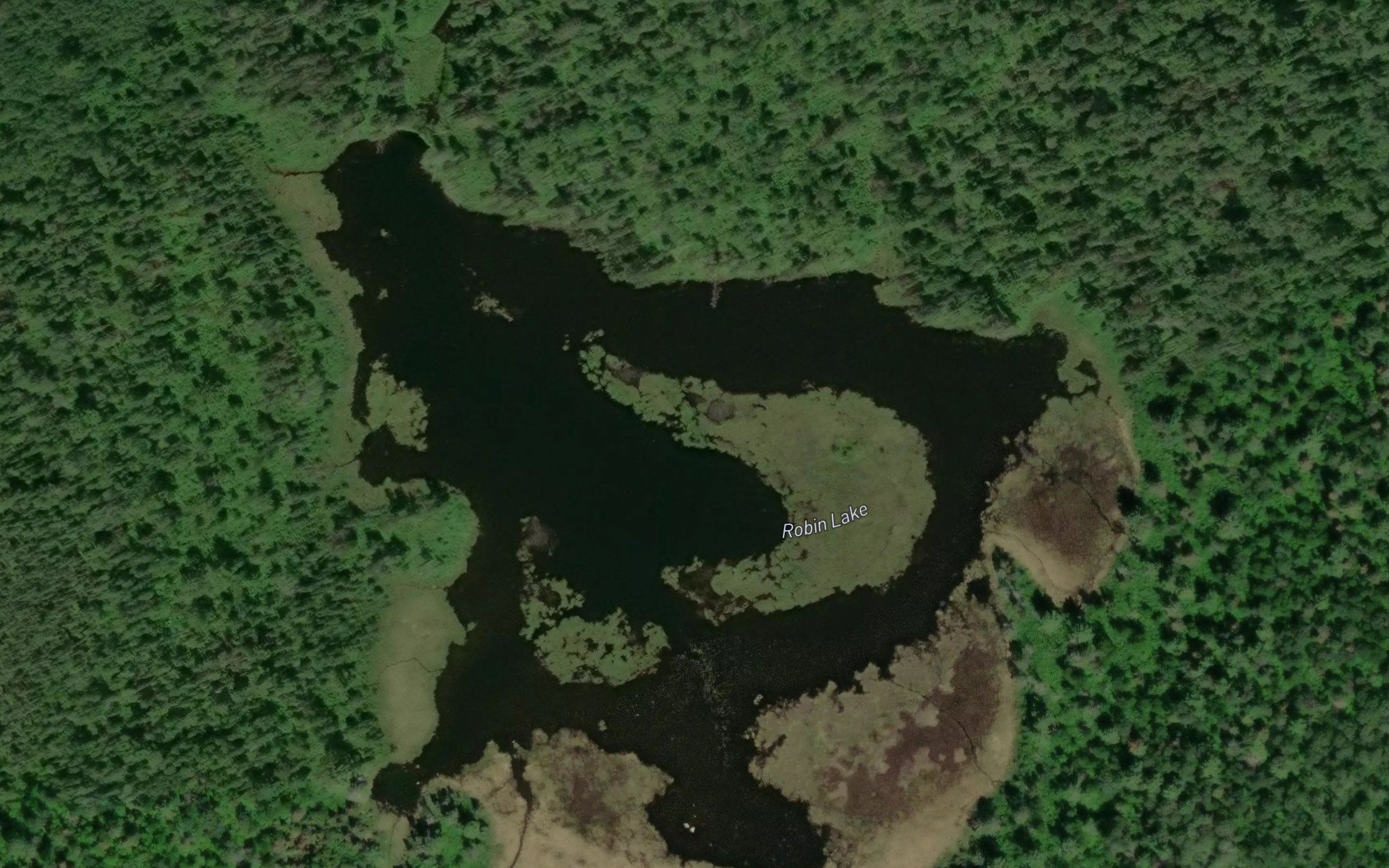 Robin Lake