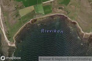 Rivviken