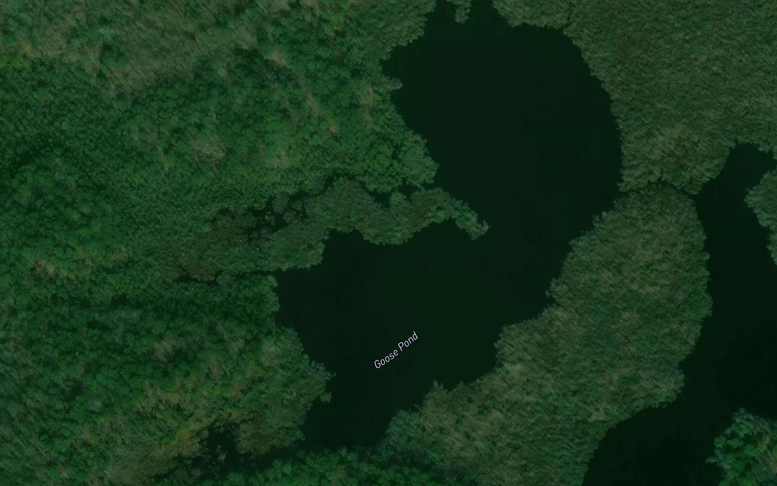 Goose Pond