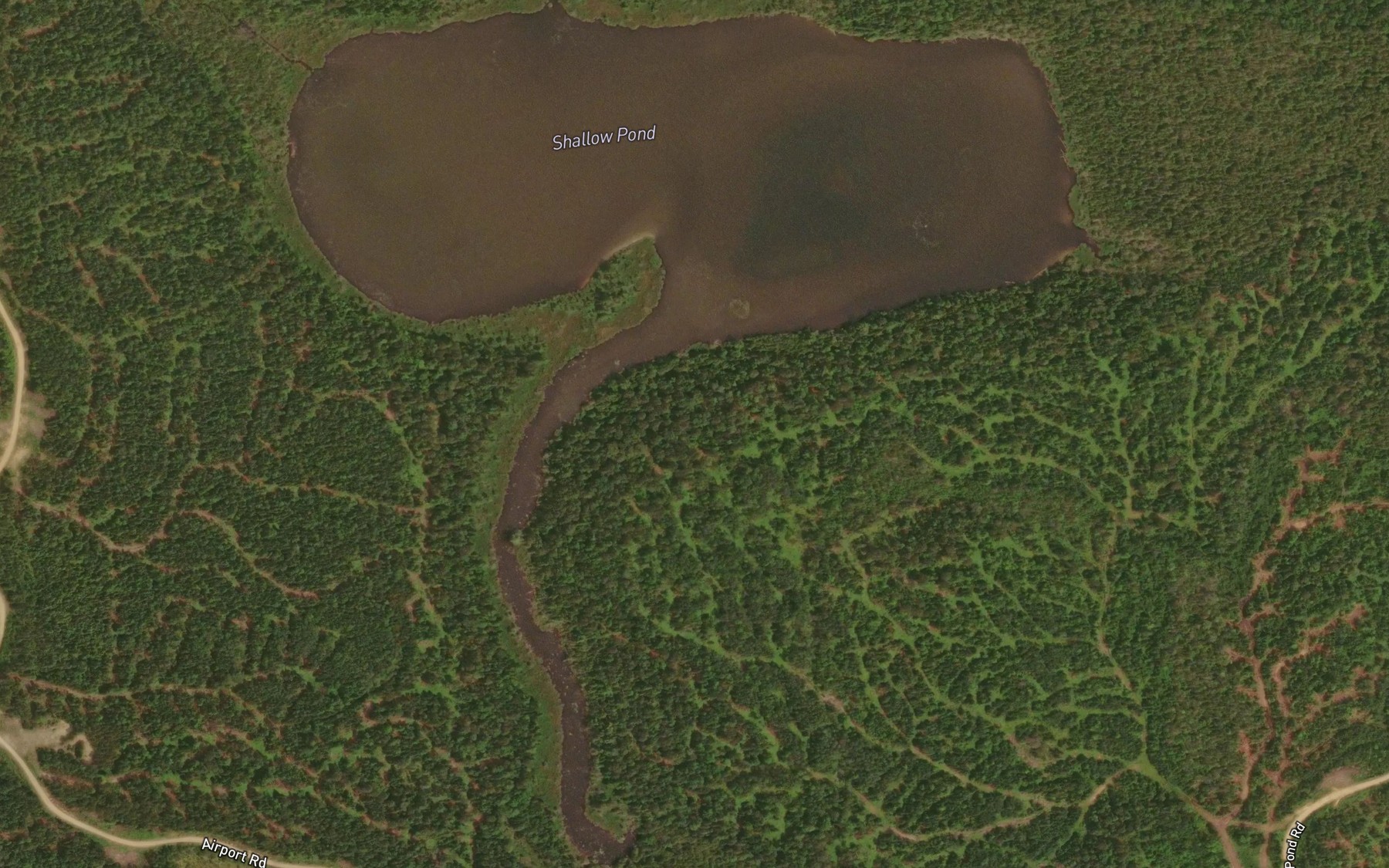 Satellite map of the Shallow Pond