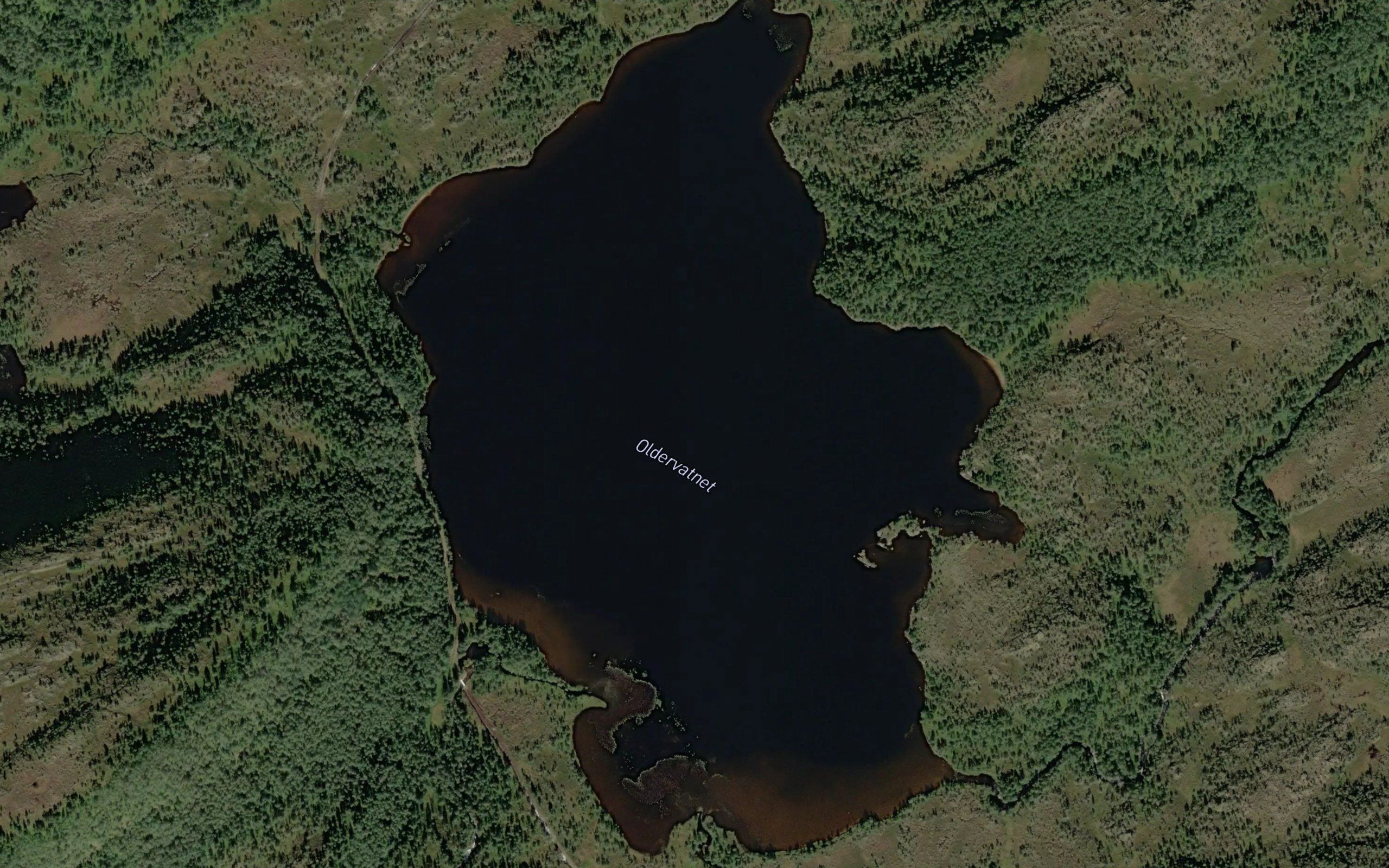 Oldervatnet