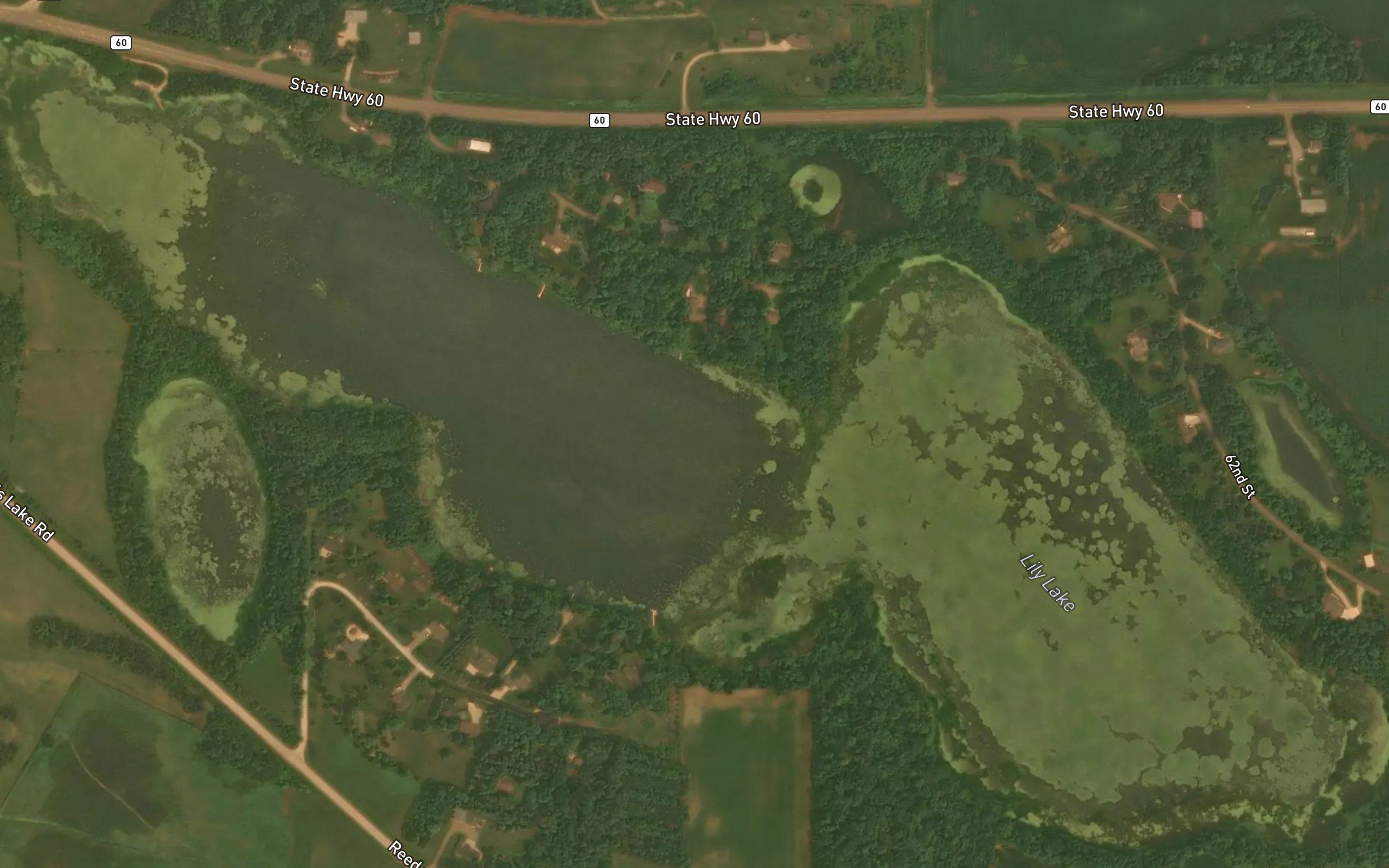 Lily Lake