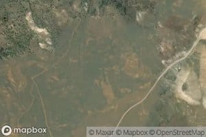 Apple Orchard Spring