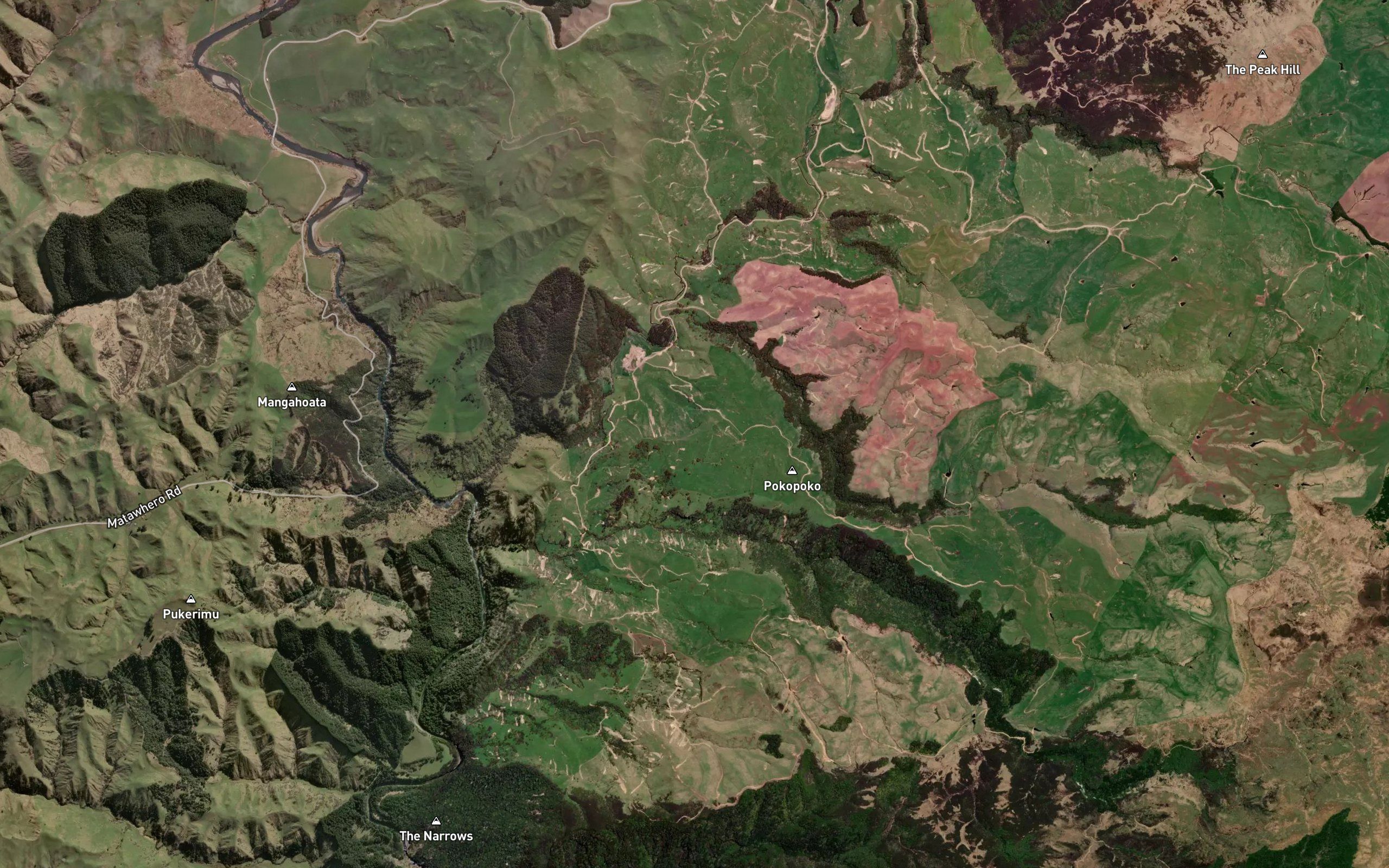 Reporoa Stream