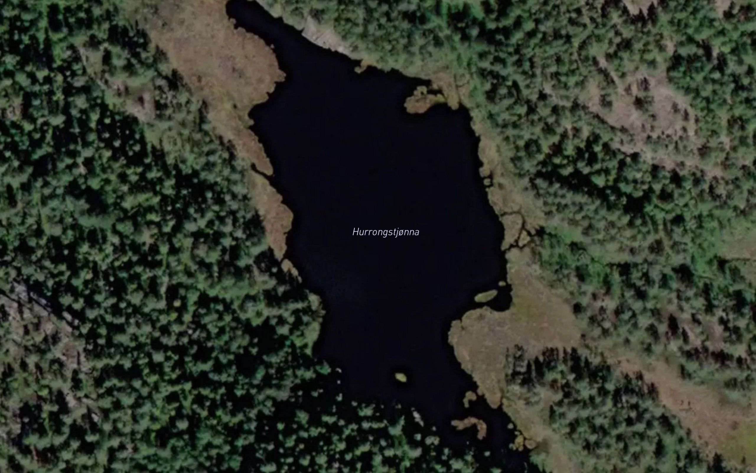 Hurrongstjorna