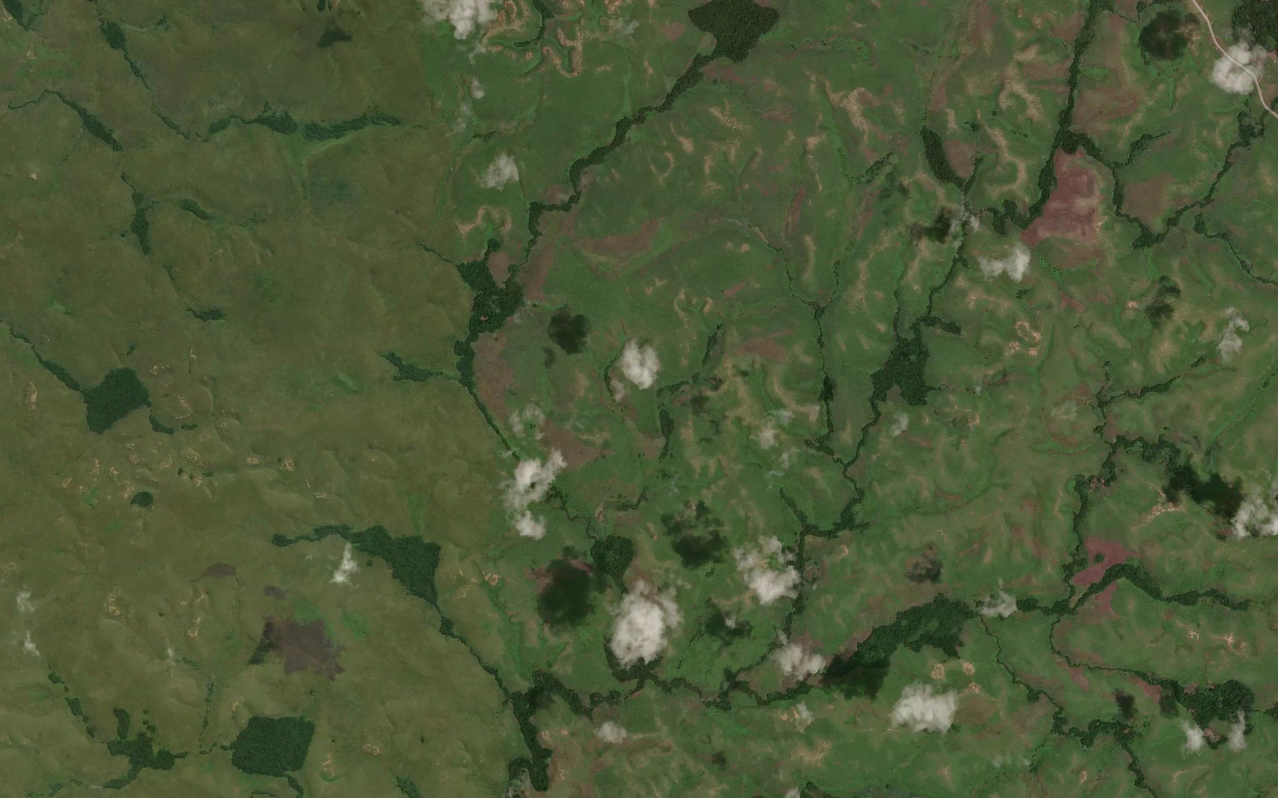 Senzele