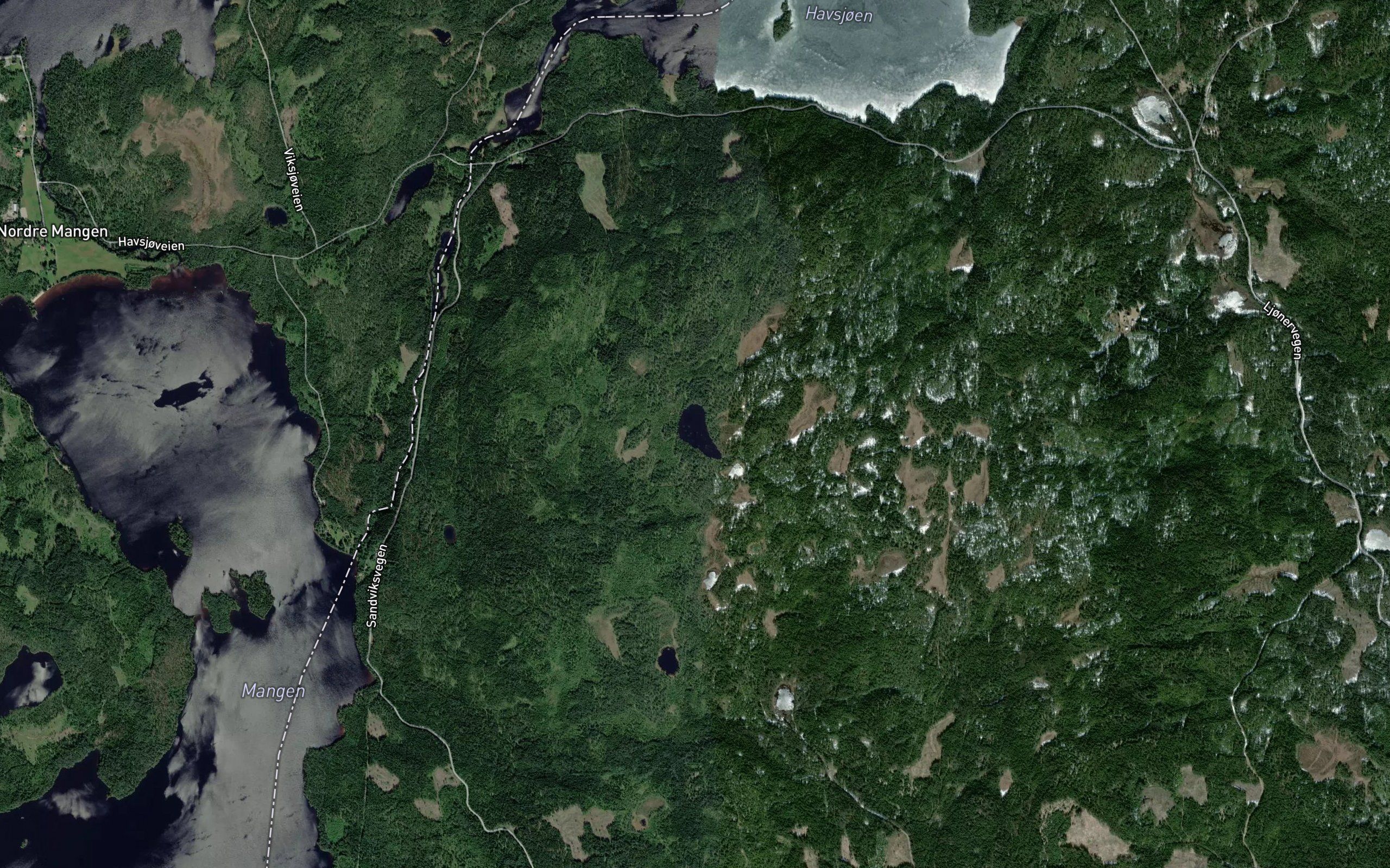 Hundetjenn,nordre