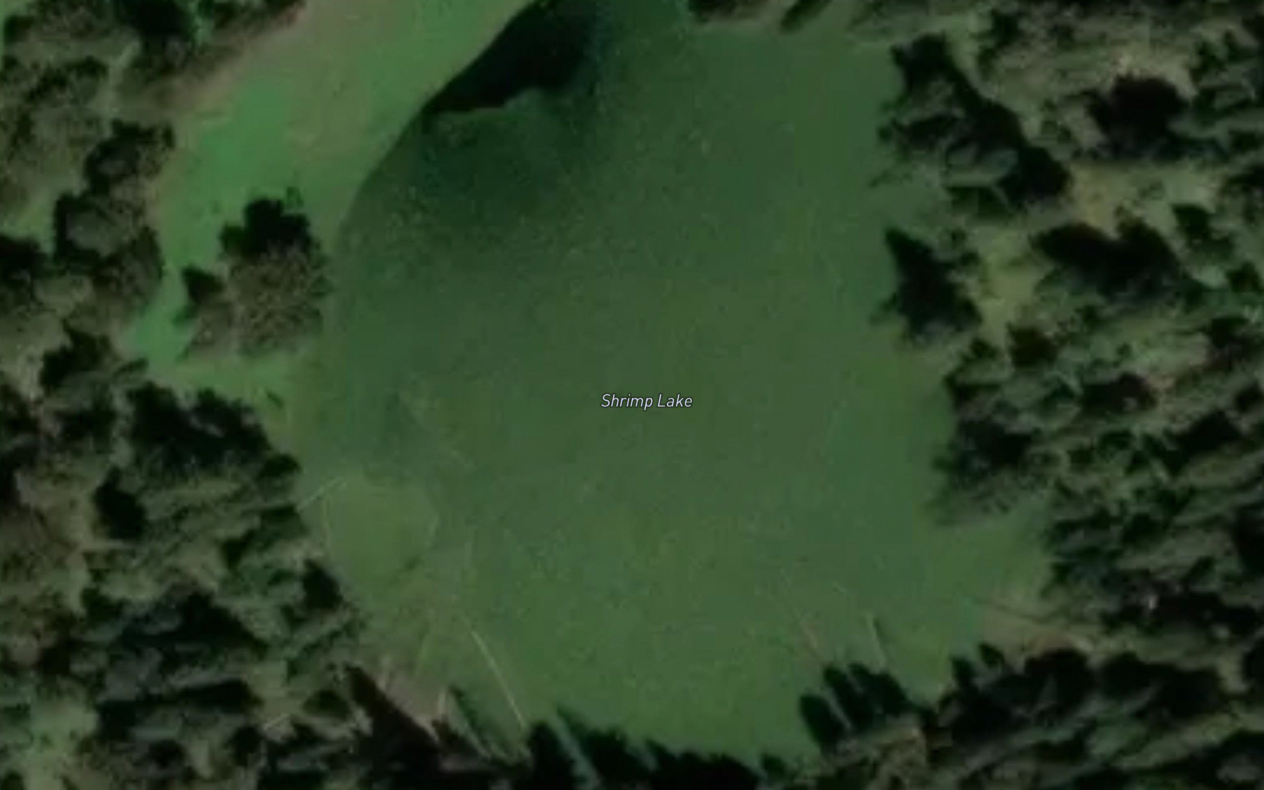 Shrimp Lake