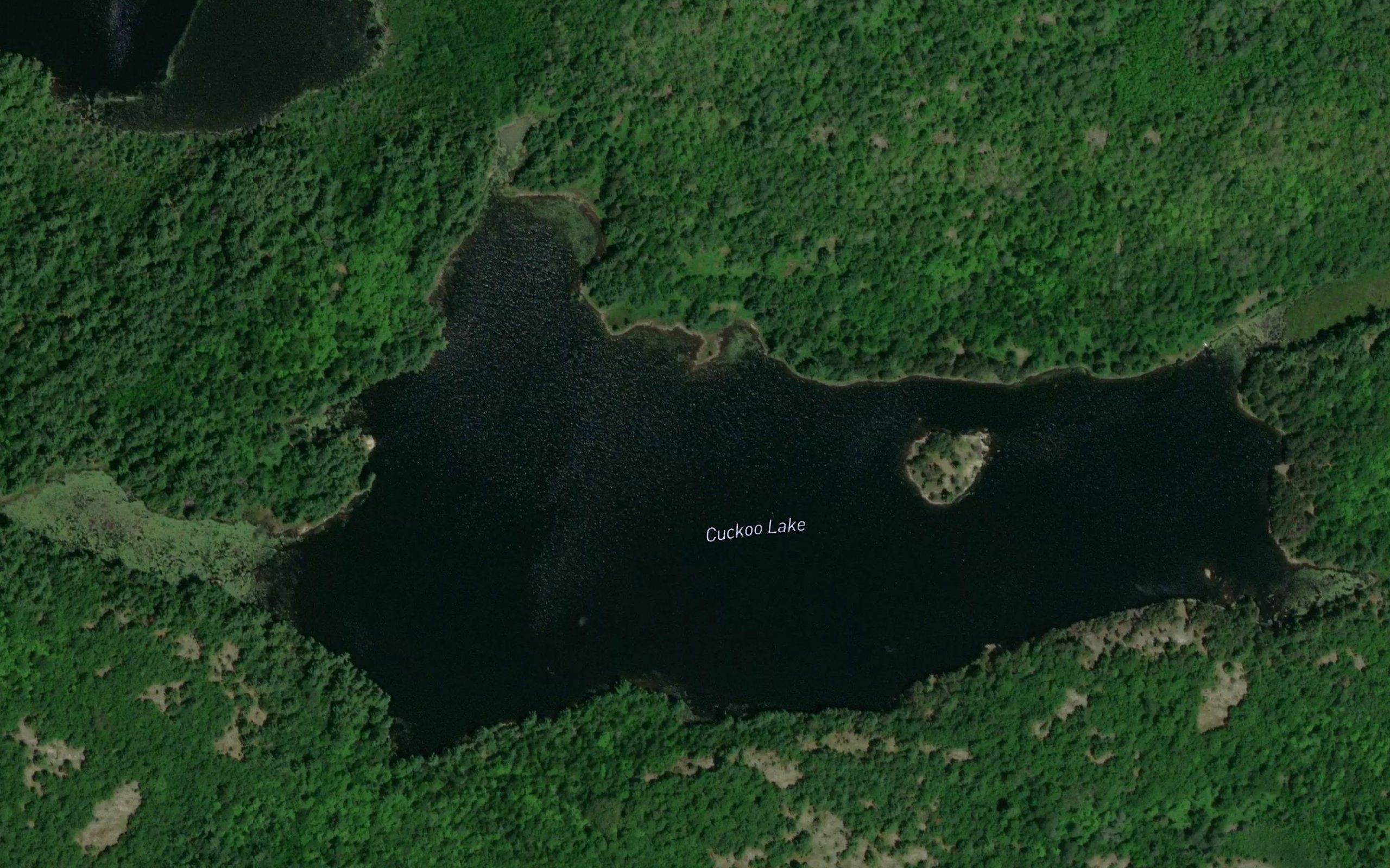 Cuckoo Lake