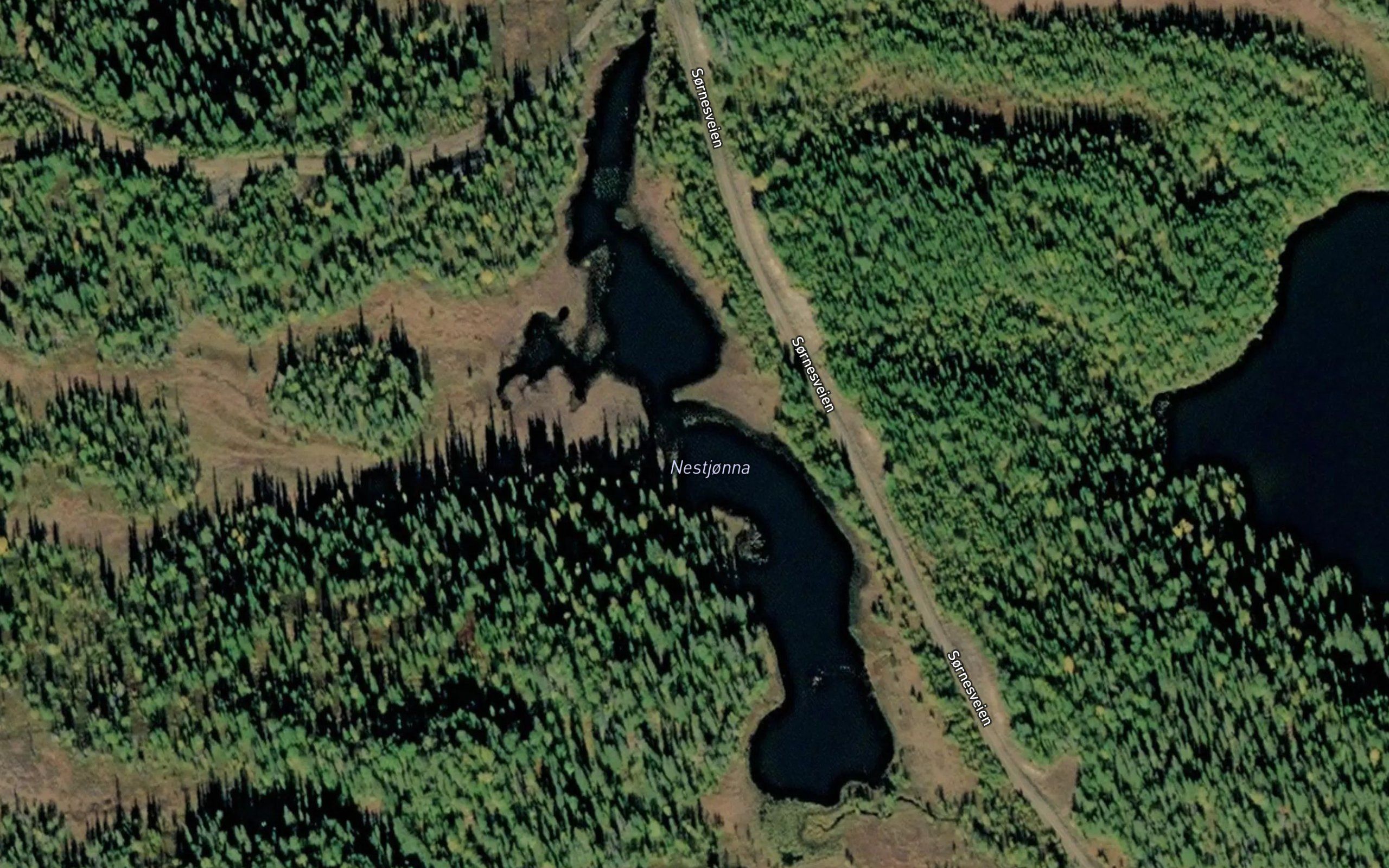 Nestjorna
