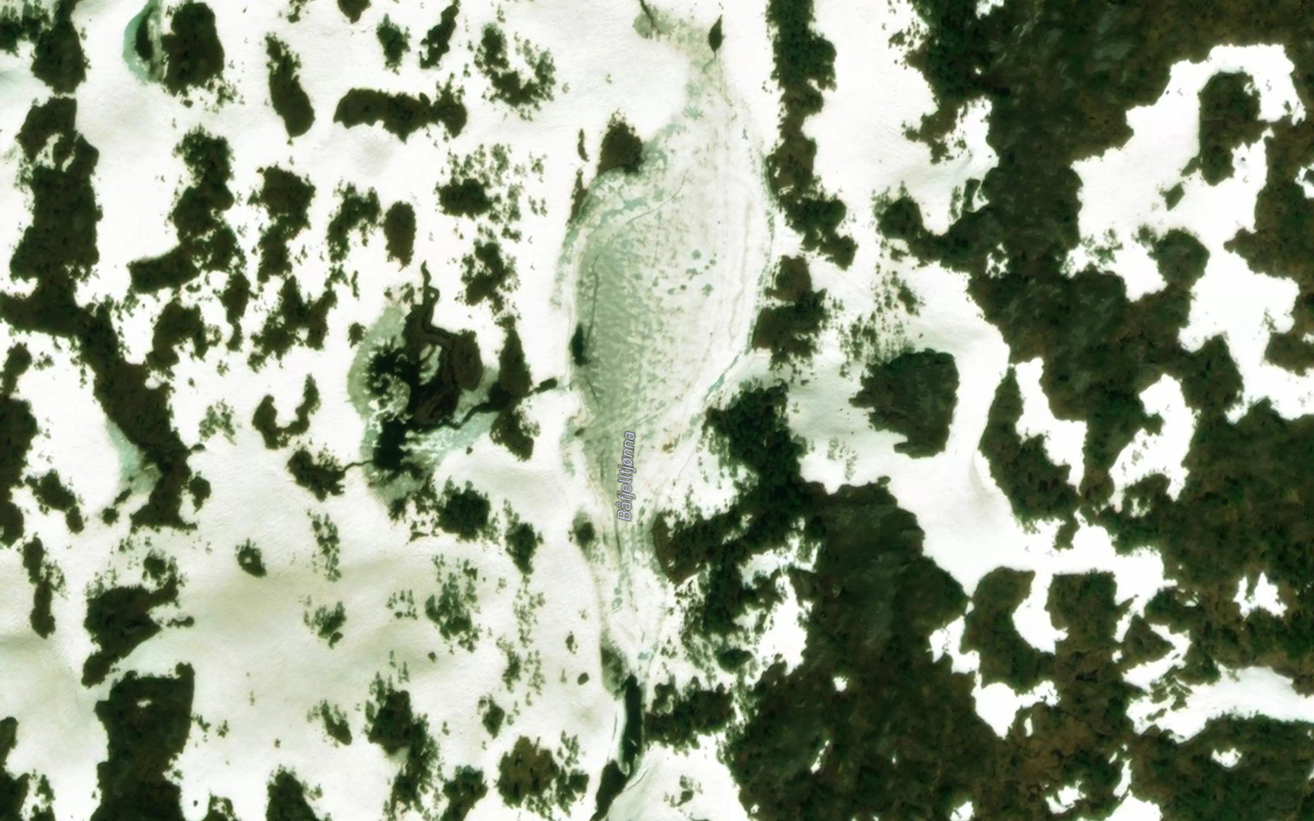 Bafjelltjorna