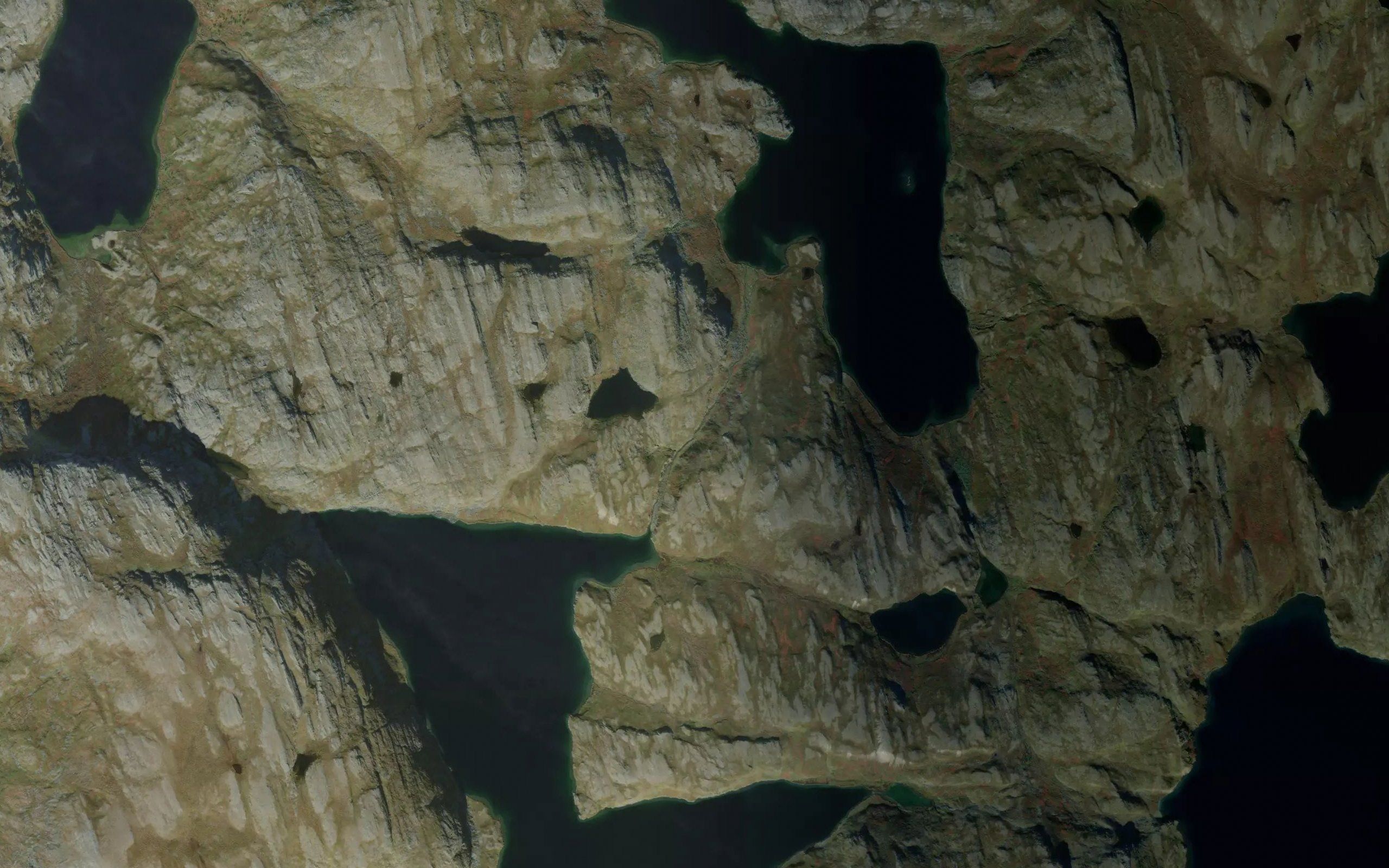 Urtasjakka