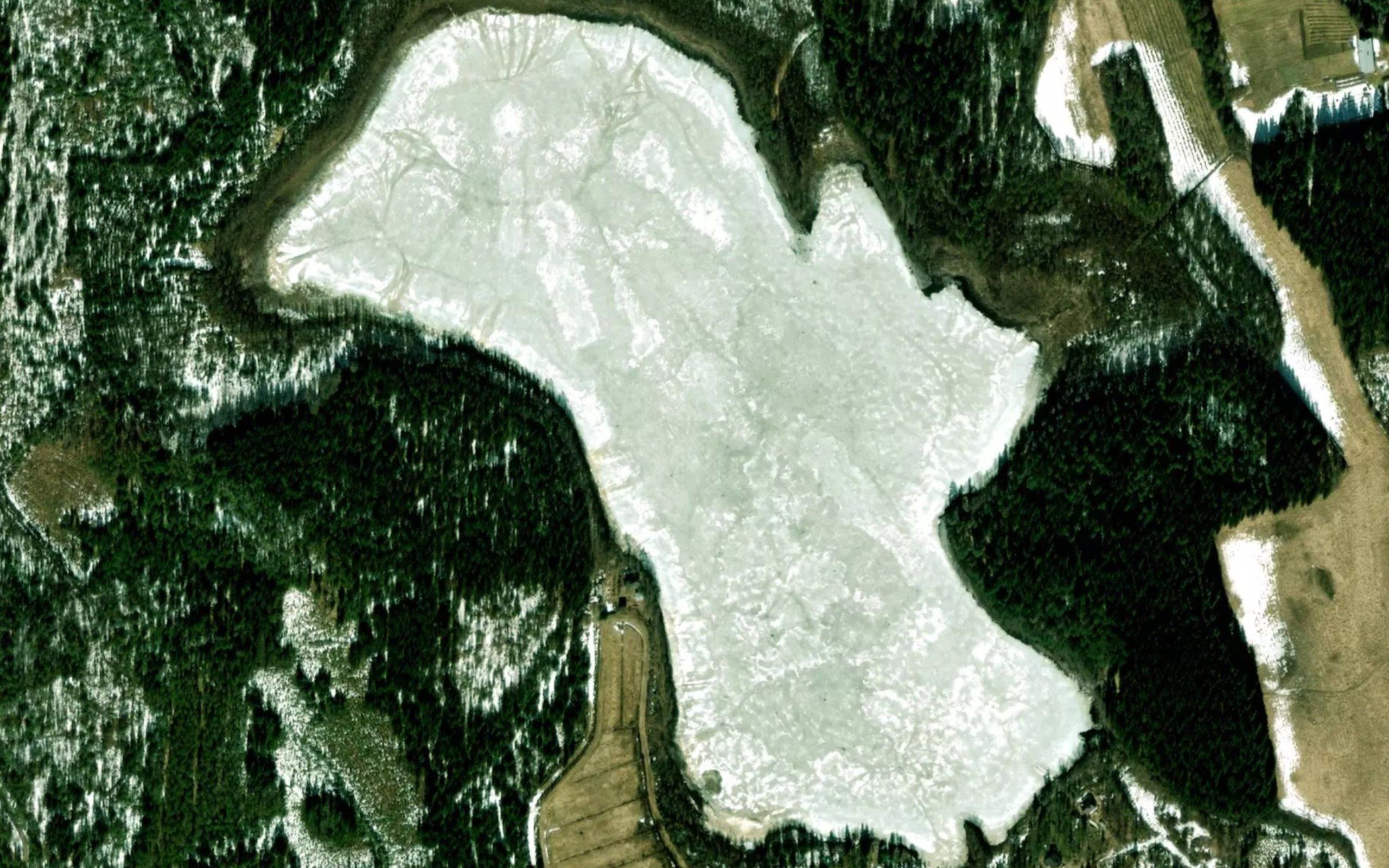Laurikkalanlampi