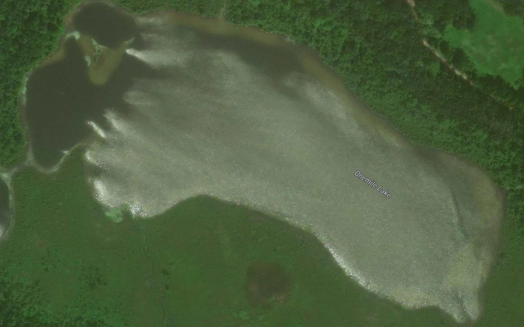 Satellite map of the Onemile Lake