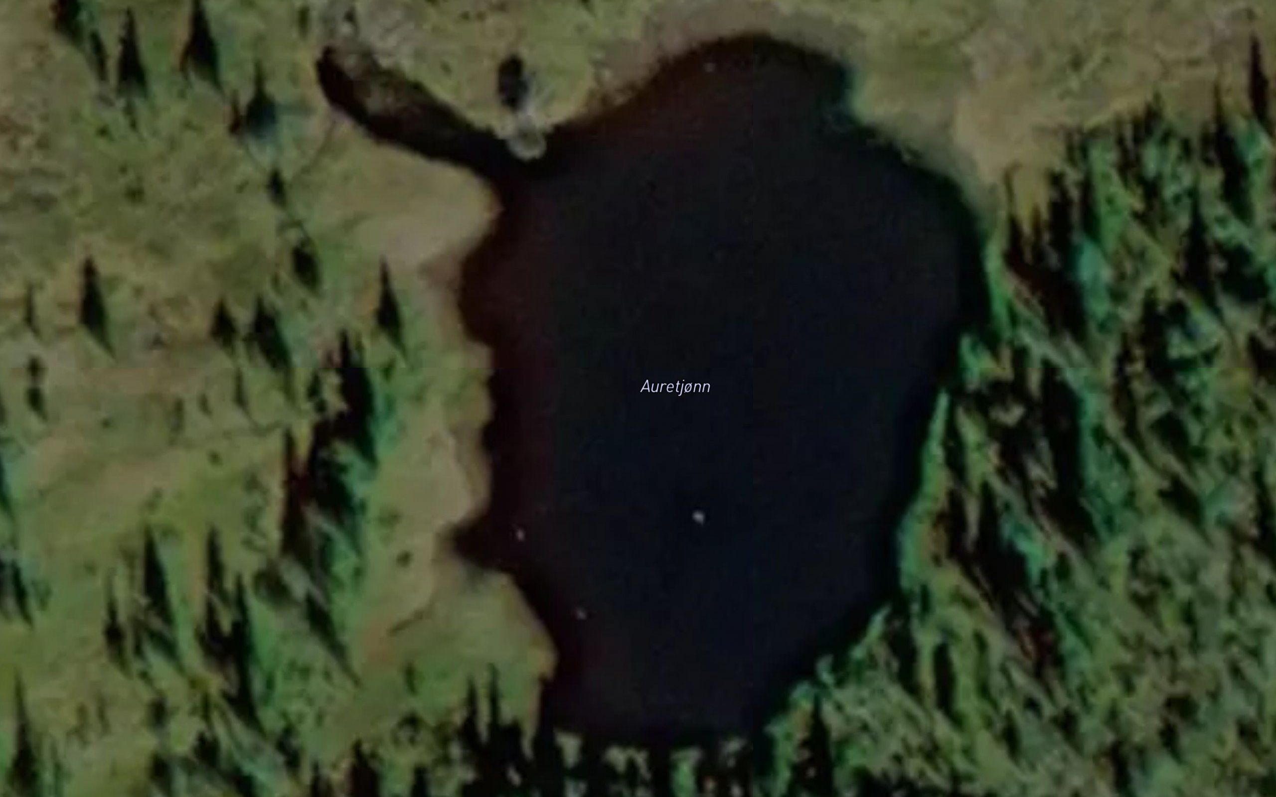 Auretjonn