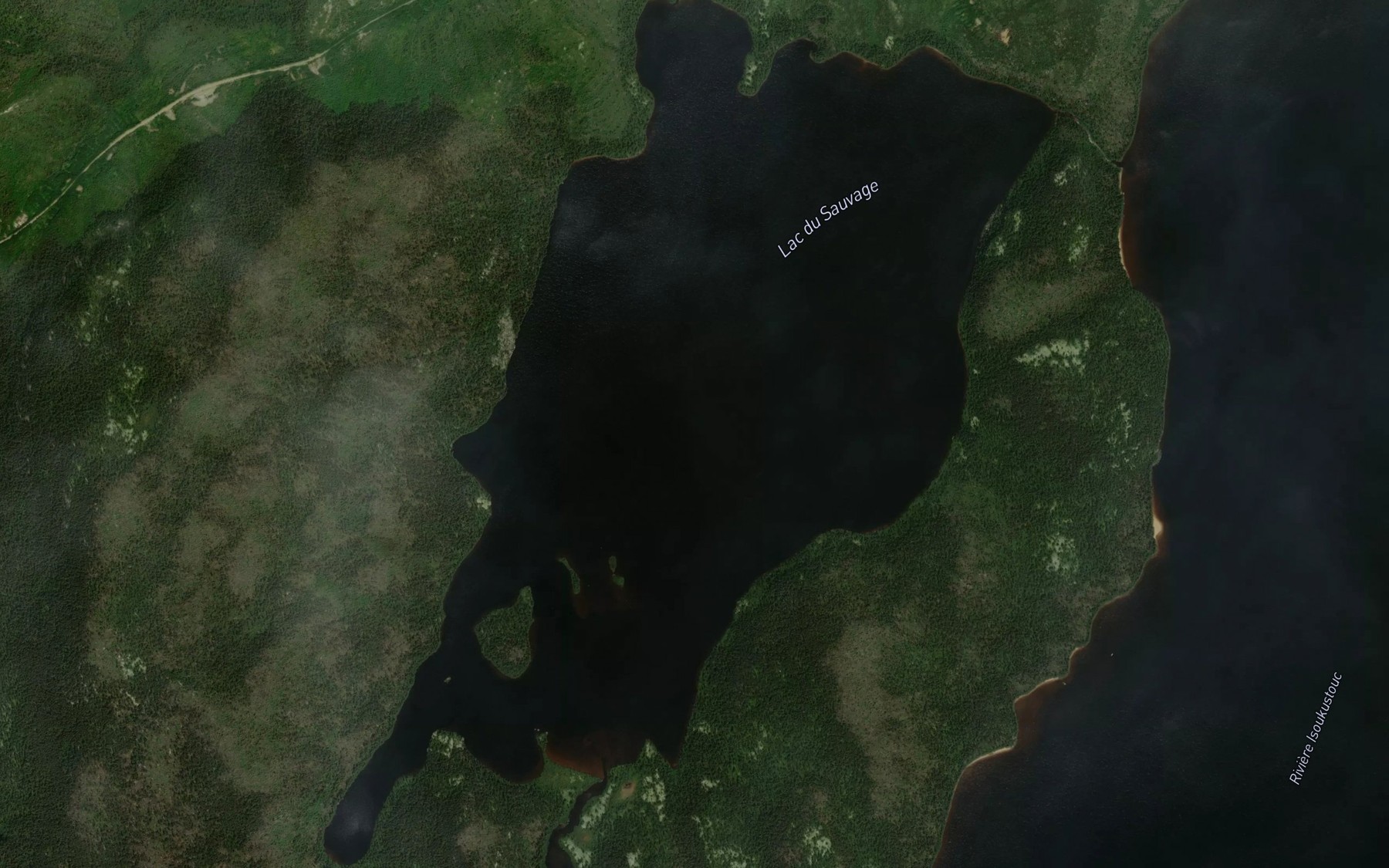 Satellite map of the Lac du Sauvage
