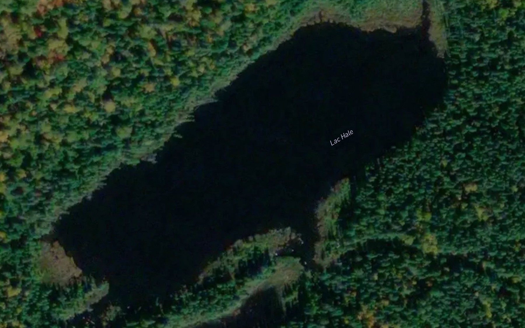 Satellite map of the Lac Hale